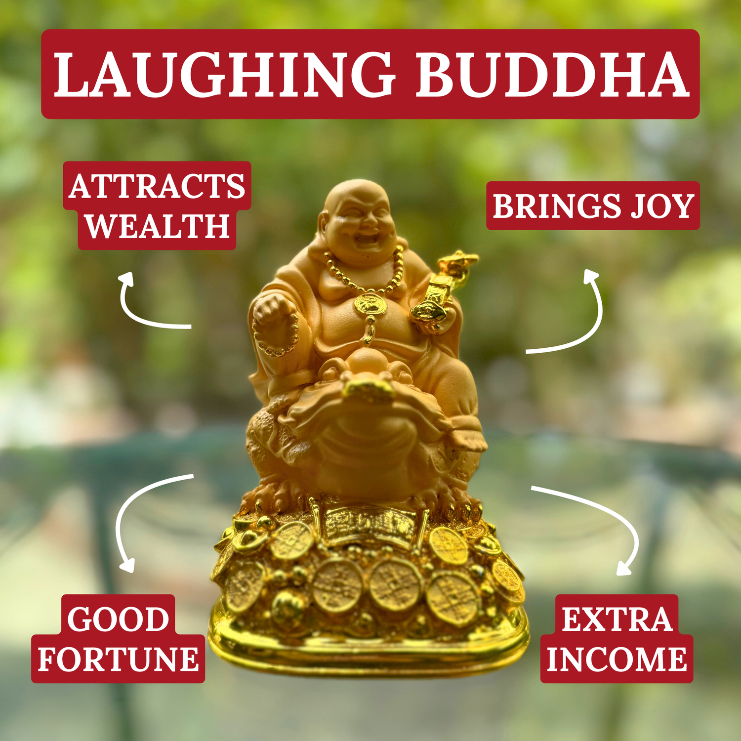 Ride to Riches Buddha on Money Frog 13cm Default Title - Feng Shui Charms - Royal Dragon Decor Philippines