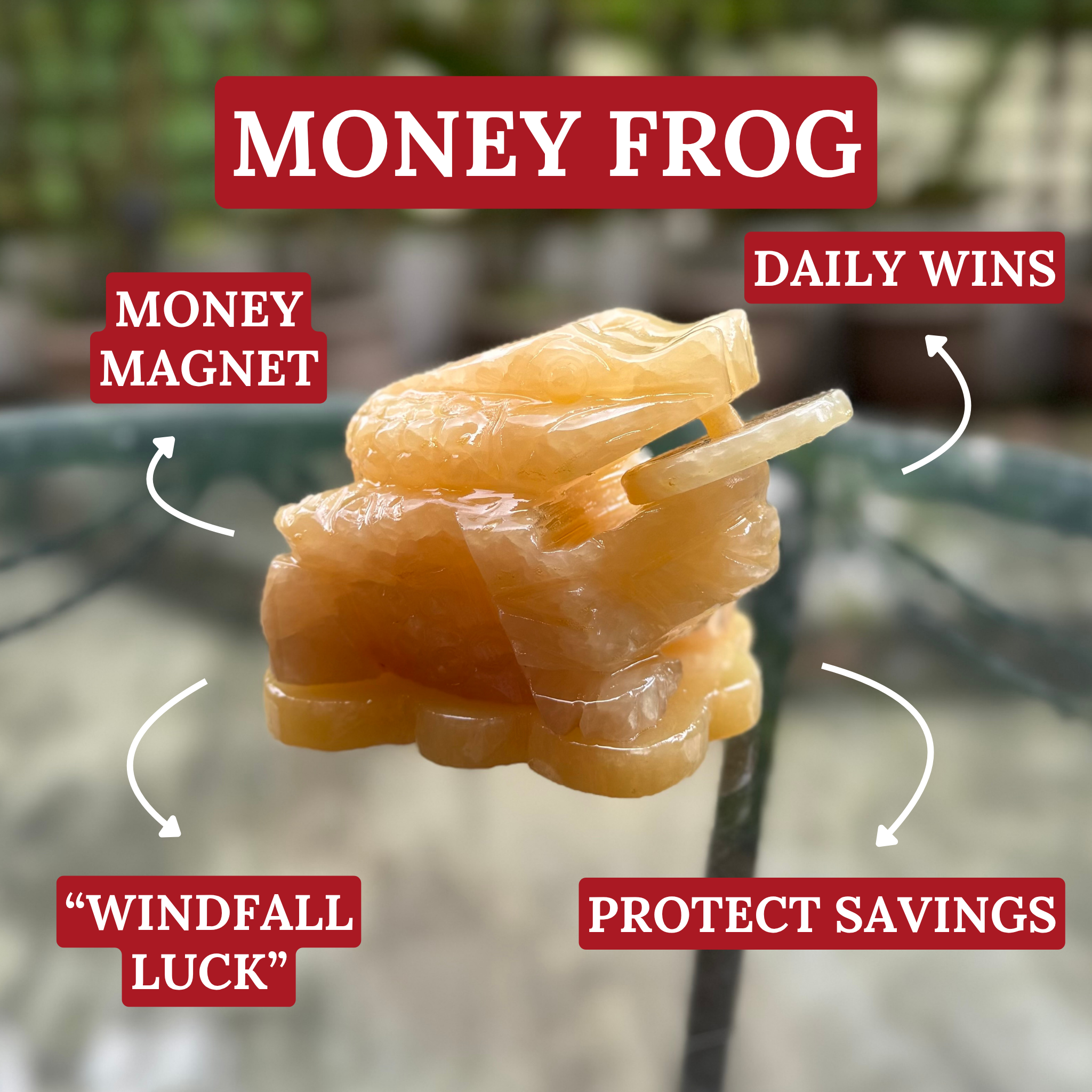 Little Topaz Money Frog for Smooth Gains 11cm Default Title - Feng Shui Charms - Royal Dragon Decor Philippines