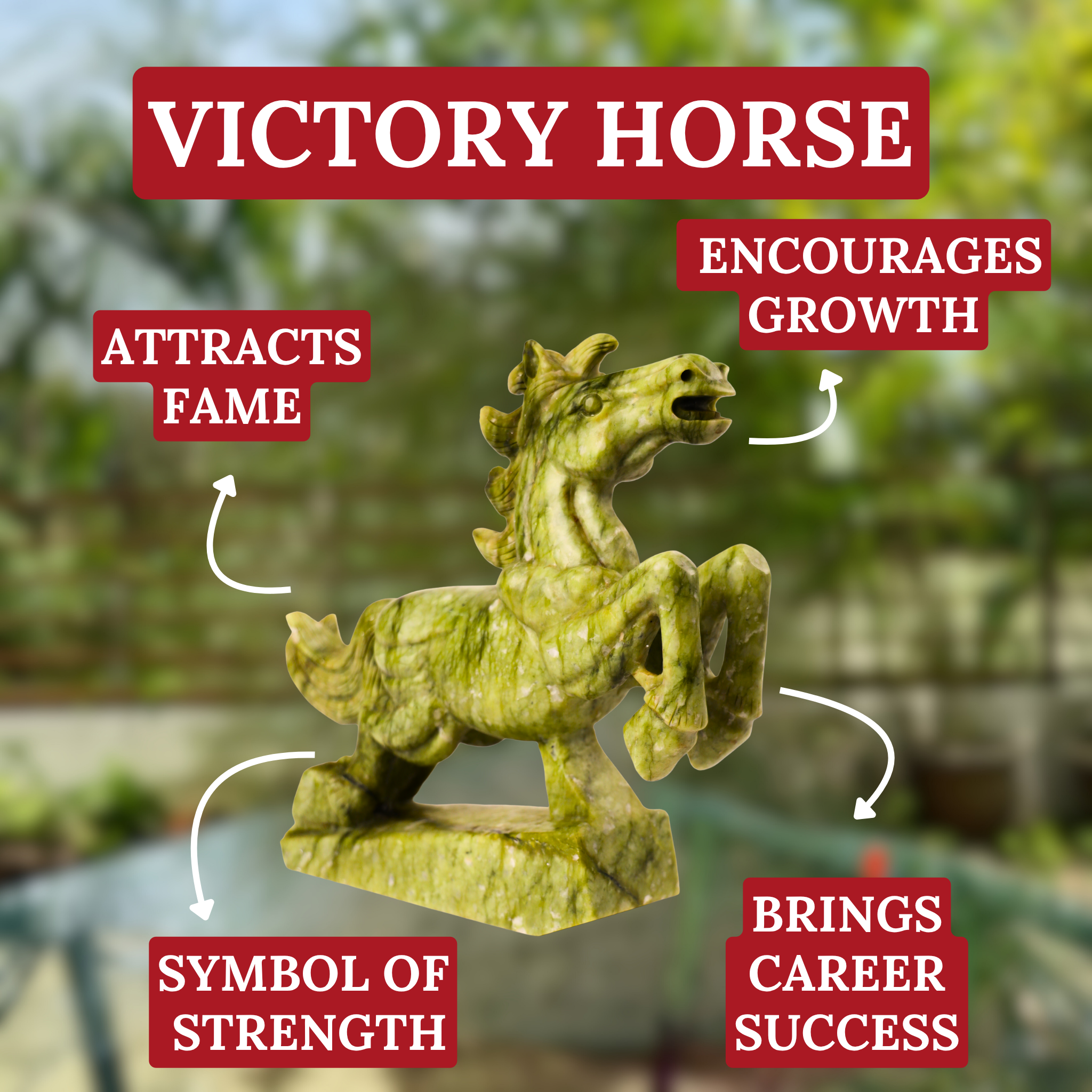 Jade Champion of Career Victory Horse 32cm