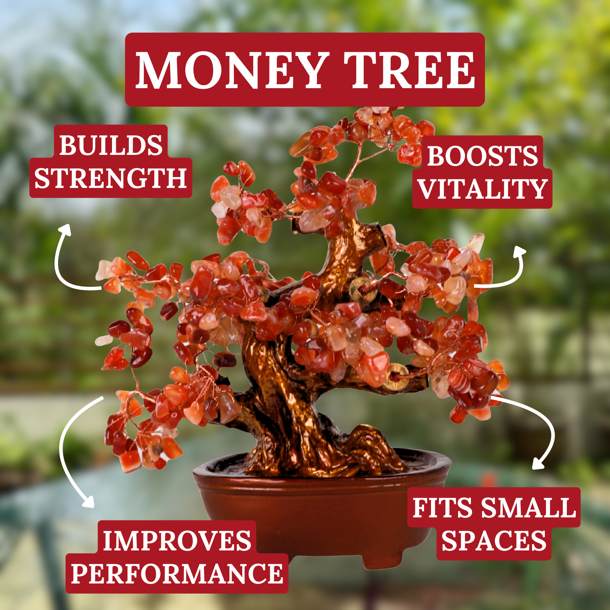 Red Agate Crystal Tree for Strength & Vitality 25cm