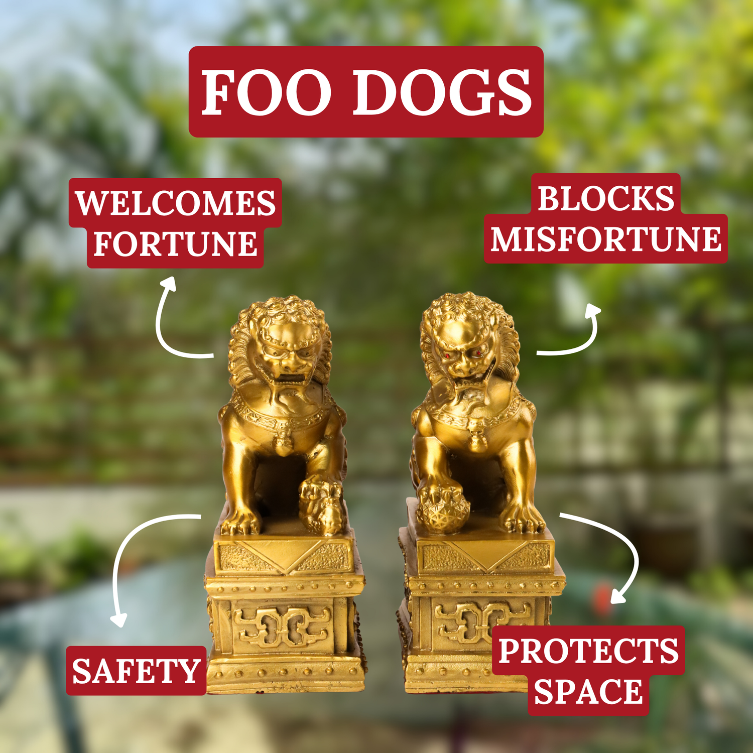 Loyal Gatekeepers Brass Foo Dogs 19cm