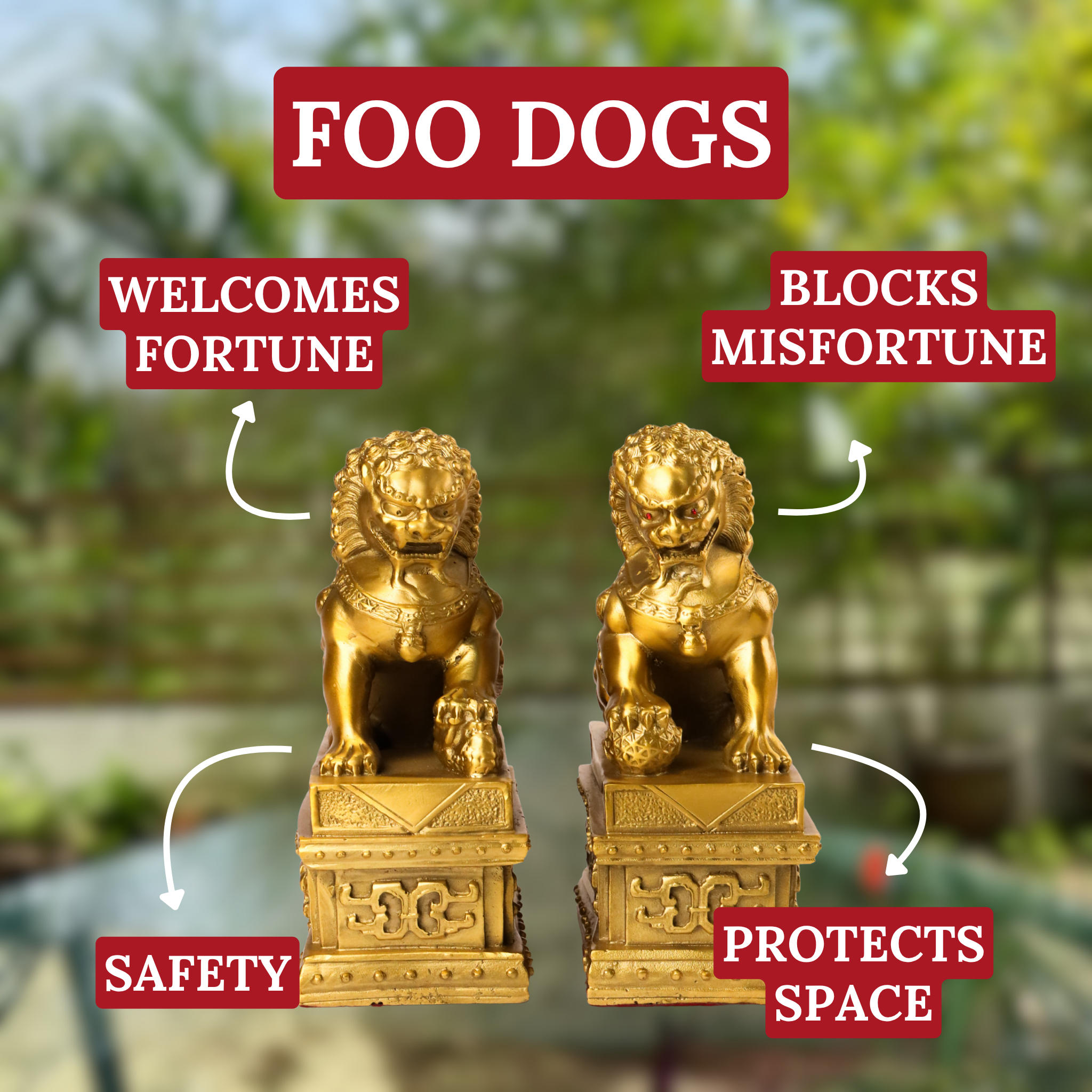 Loyal Gatekeepers Brass Foo Dogs 19cm