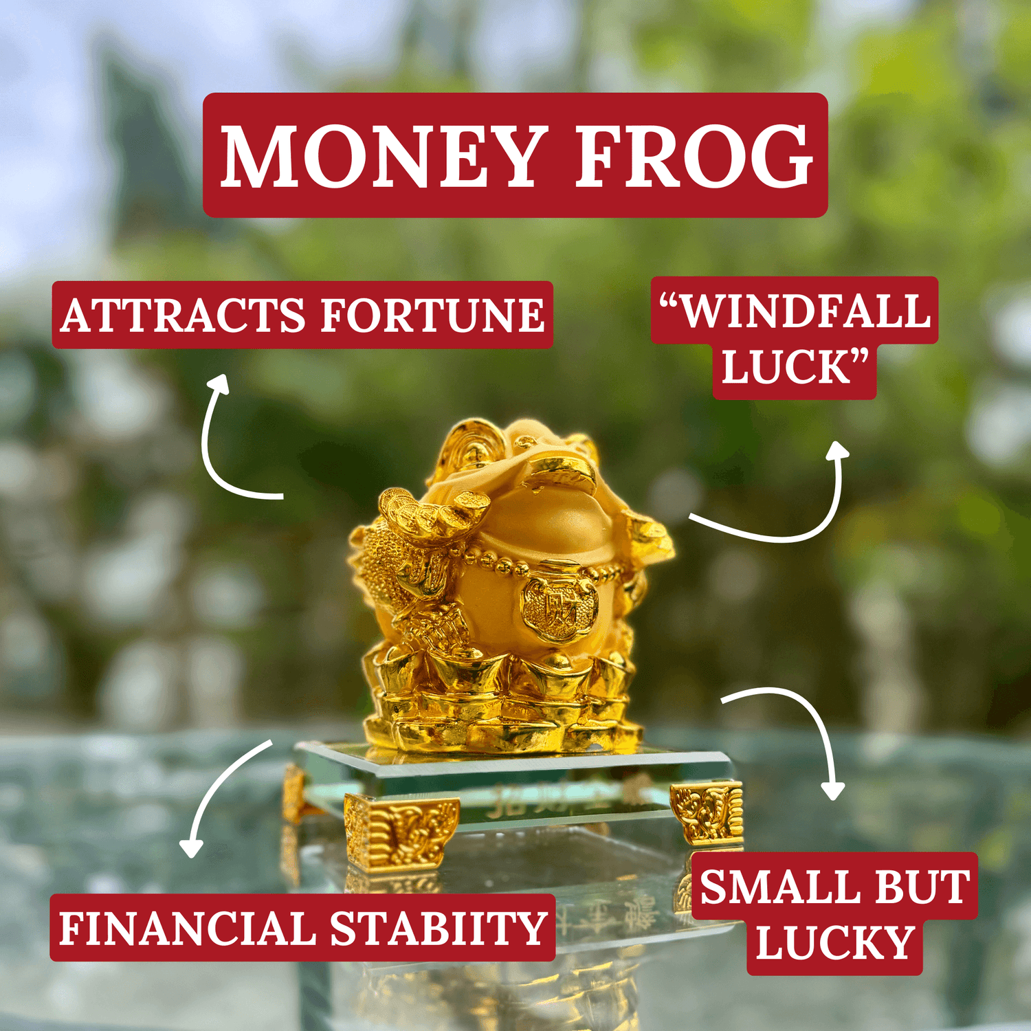 Cute & Lucky Gold Money Frog 11cm Default Title - Feng Shui Charms - Royal Dragon Decor Philippines