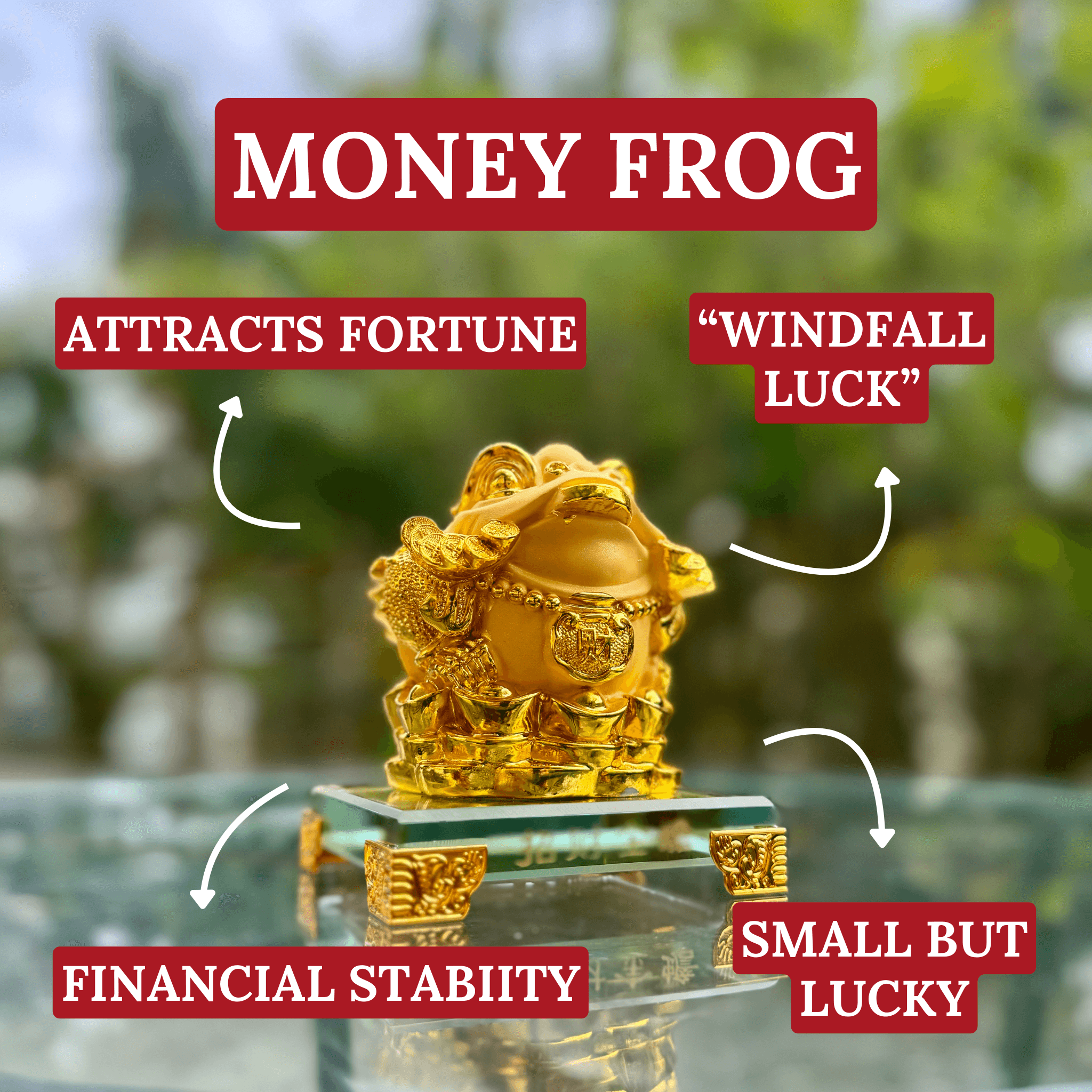 Cute & Lucky Gold Money Frog 11cm Default Title - Feng Shui Charms - Royal Dragon Decor Philippines