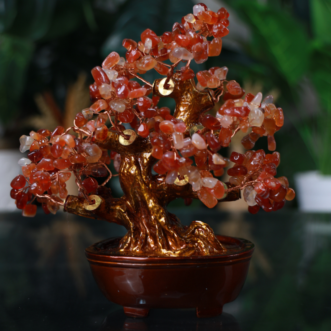 Red Agate Crystal Tree for Strength & Vitality 25cm