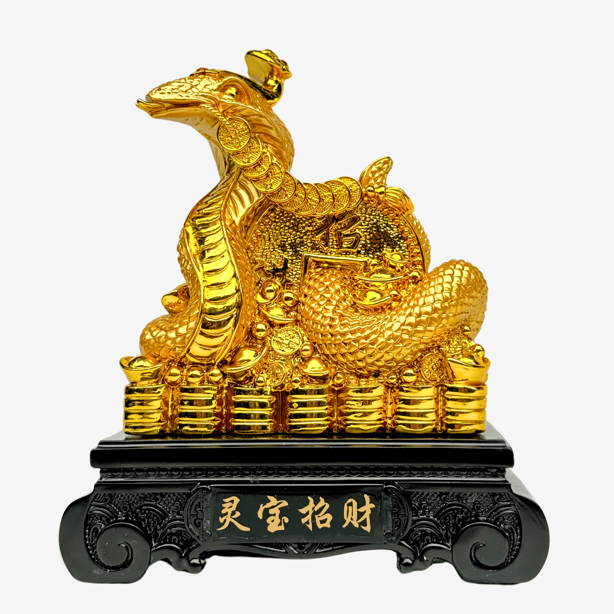 Lucky Year of the Snake on Gold Coins 21cm Default Title - Feng Shui Charms - Royal Dragon Decor Philippines