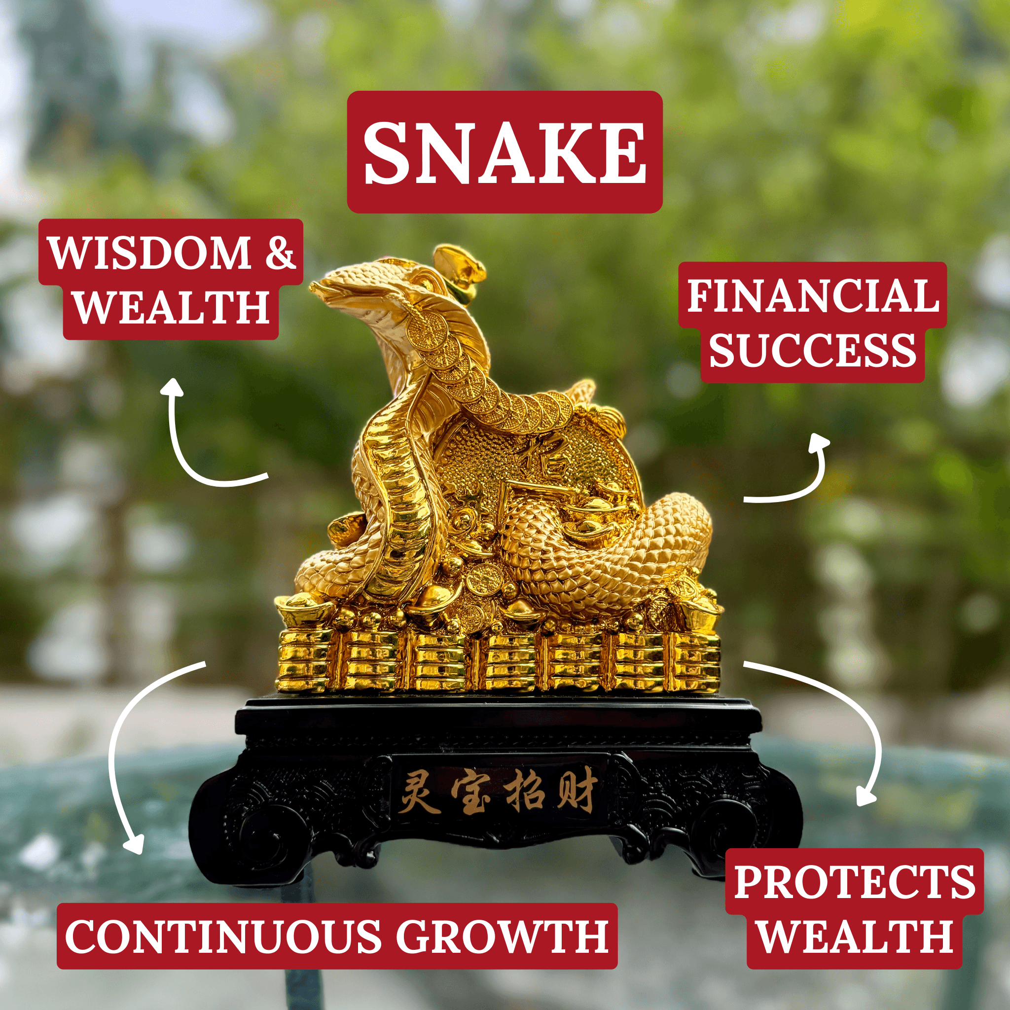 Lucky Year of the Snake on Gold Coins 21cm Default Title - Feng Shui Charms - Royal Dragon Decor Philippines