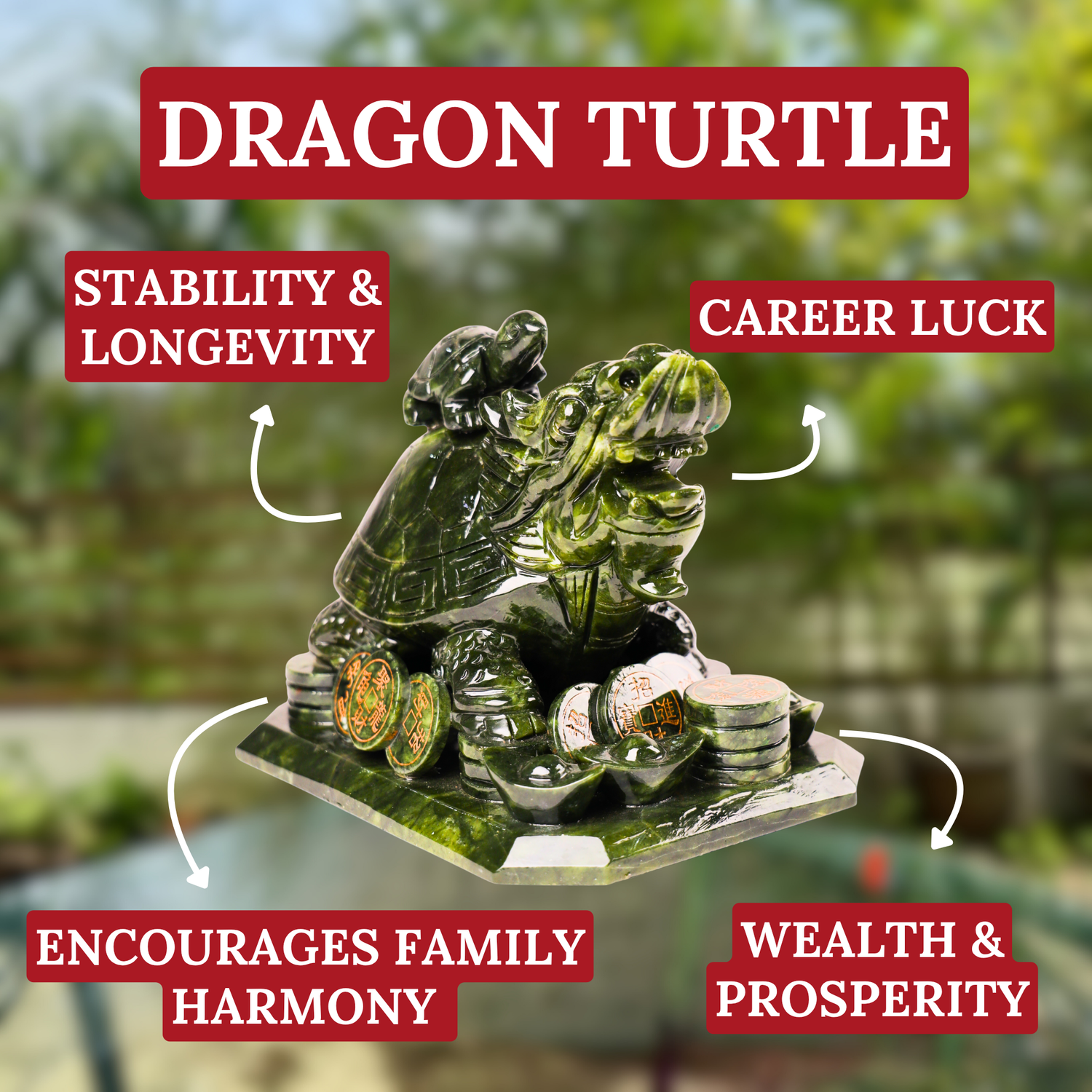 Ancestral Dragon Turtle of Long Success 23cm