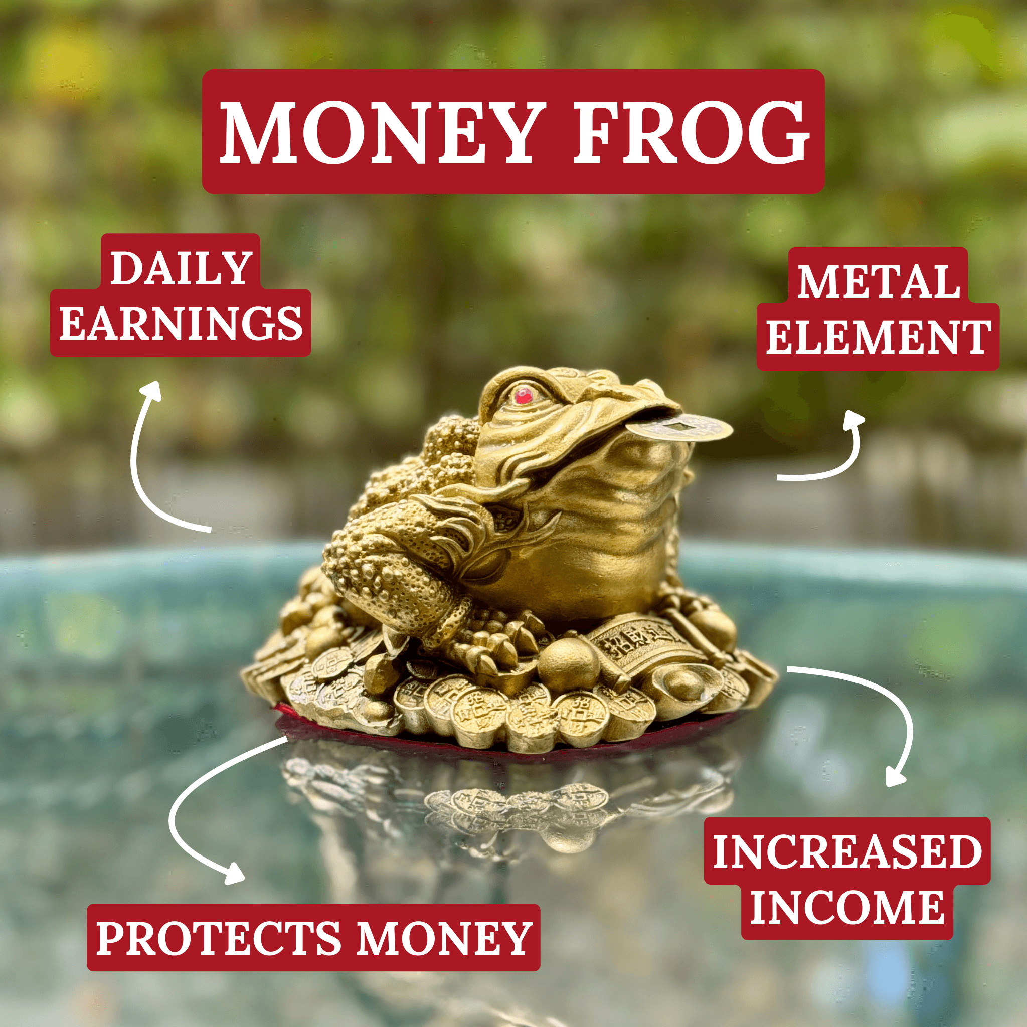 The Little Metal Money Frog Brass 12cm Default Title - Feng Shui Charms - Royal Dragon Decor Philippines