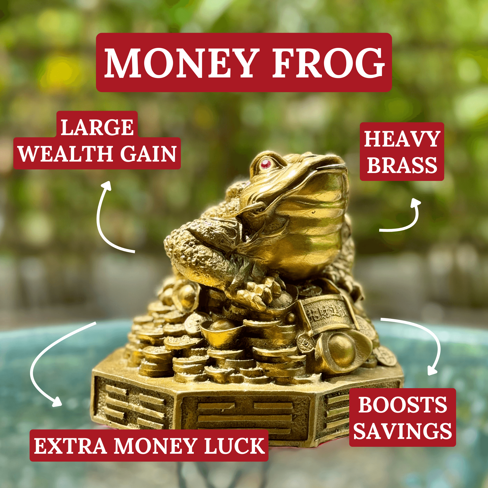 Super Wealth Brass Money Frog 15cm Default Title - Feng Shui Charms - Royal Dragon Decor Philippines