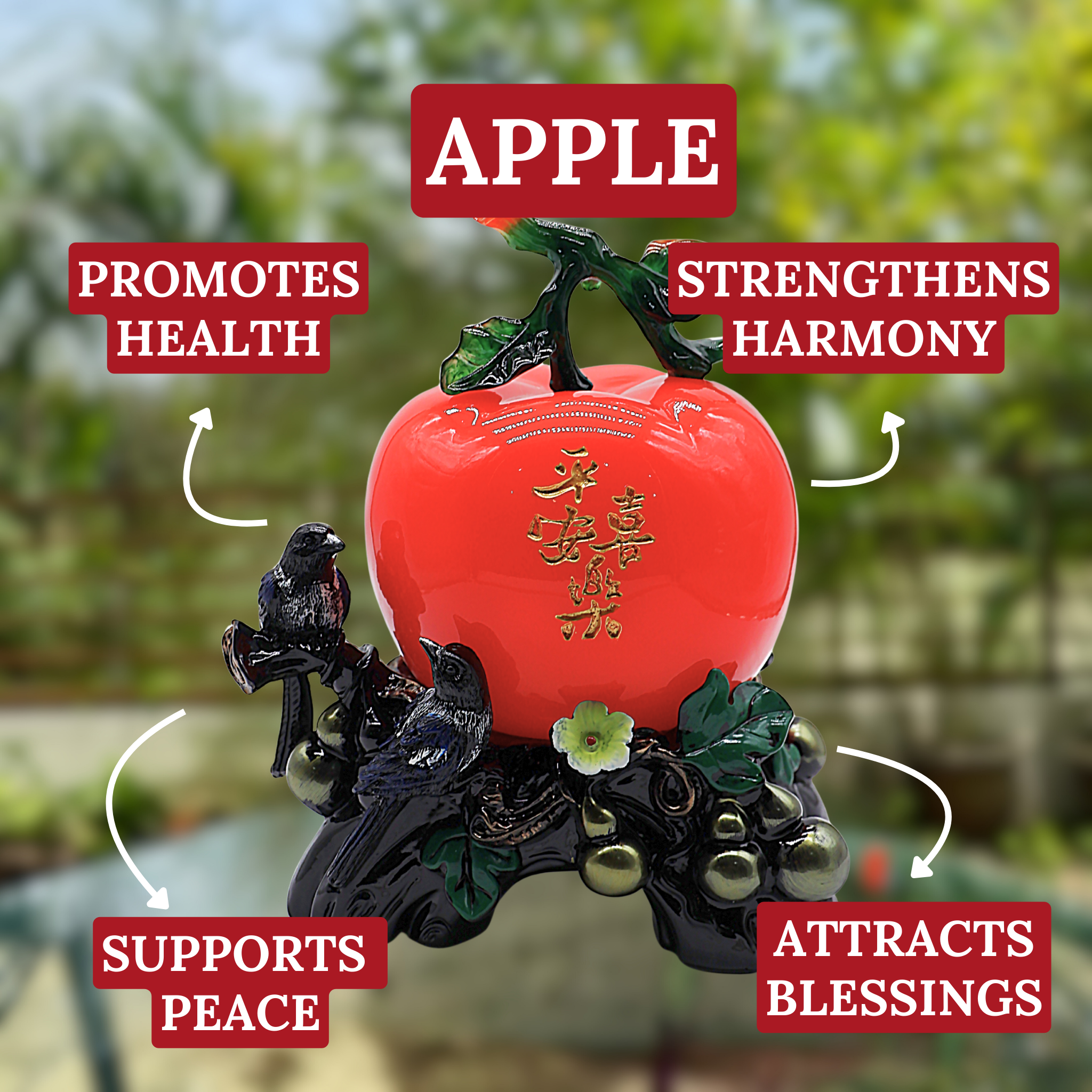 Sweet Health and Harmony Apple 34cm