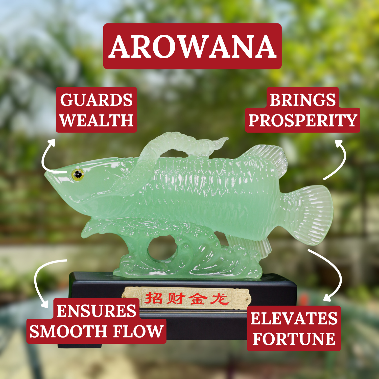 Smooth Waters Arowana of Prosperity 36cm