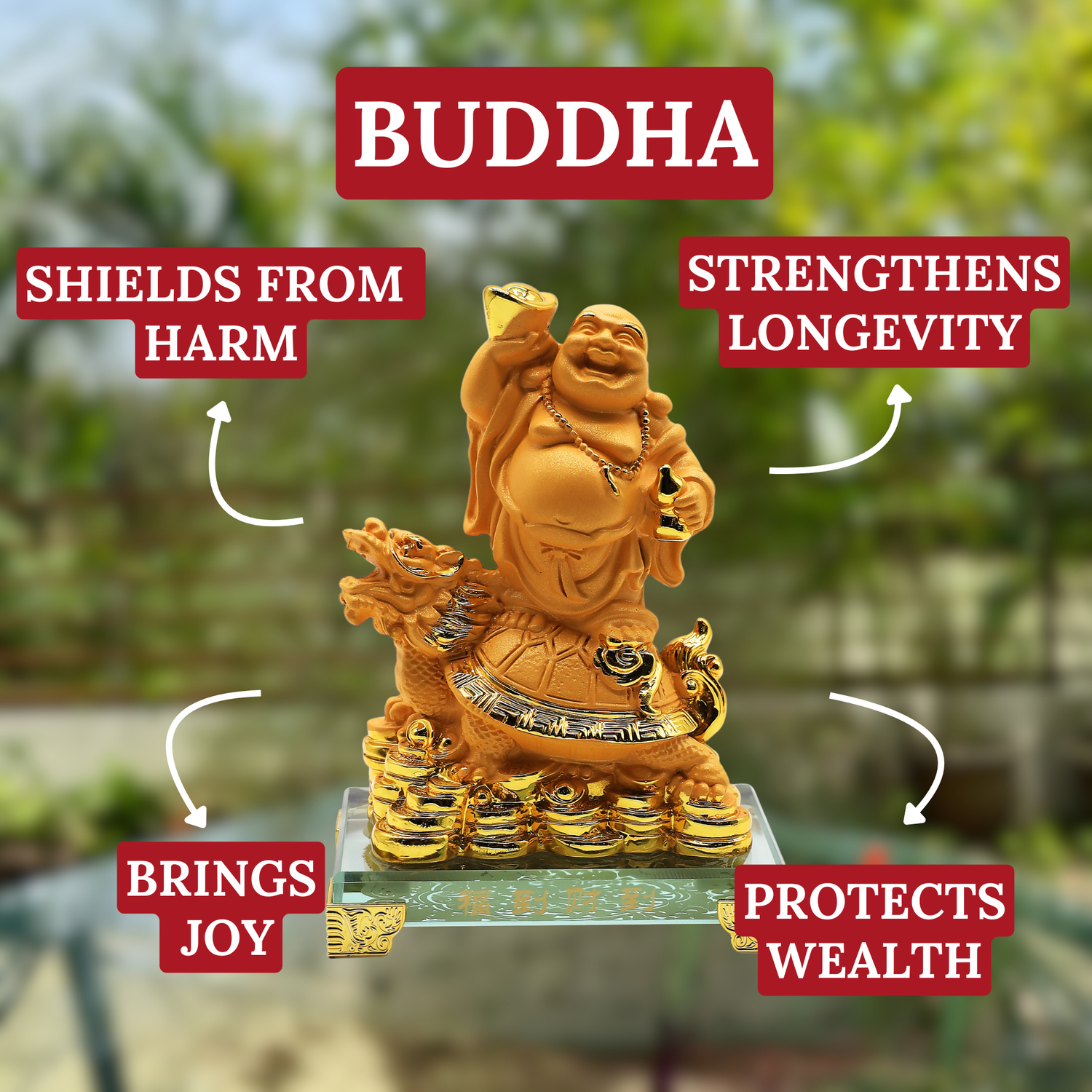 Joy & Protection Buddha on Dragon Turtle 17cm