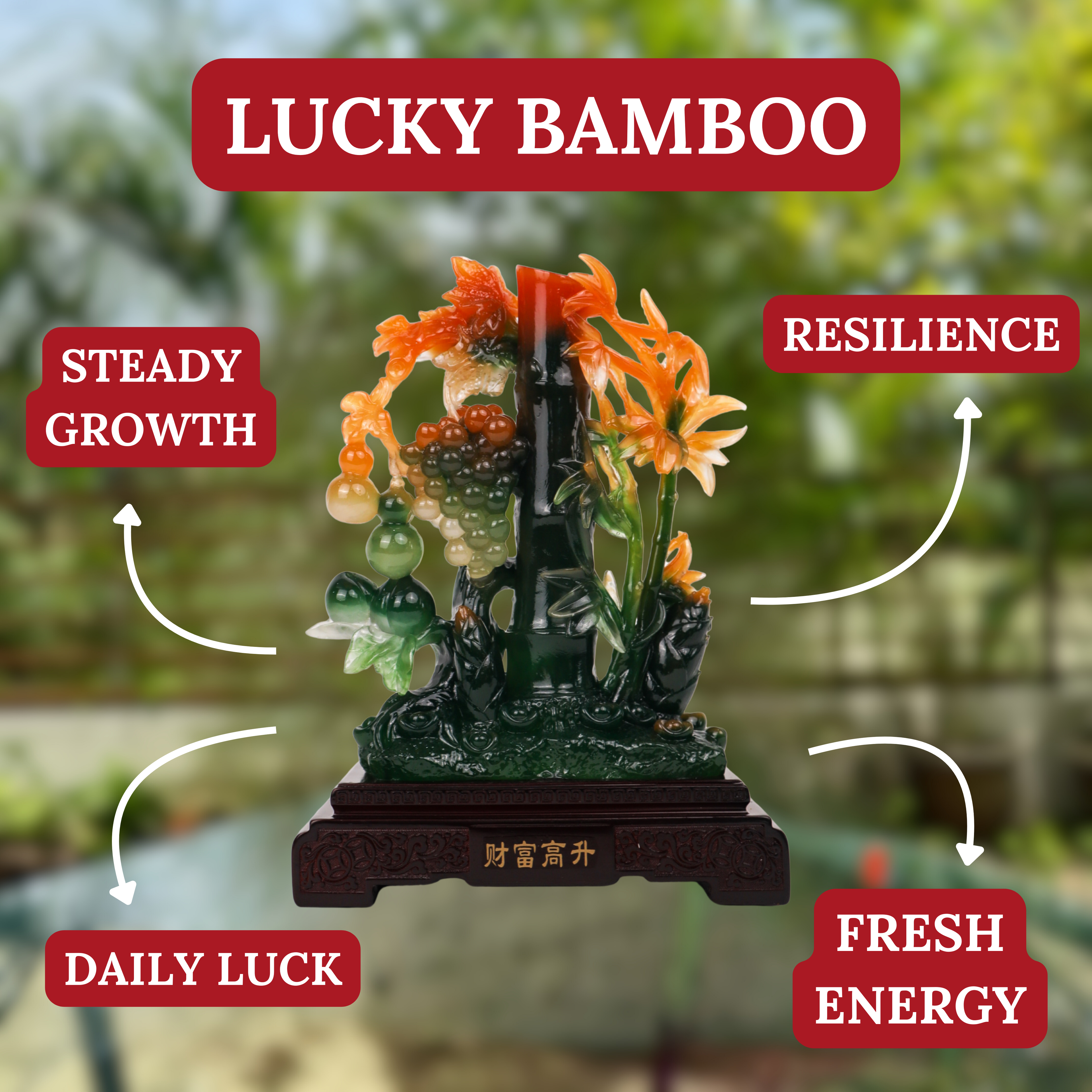 Growing Everyday Lucky Green Bamboo 25cm