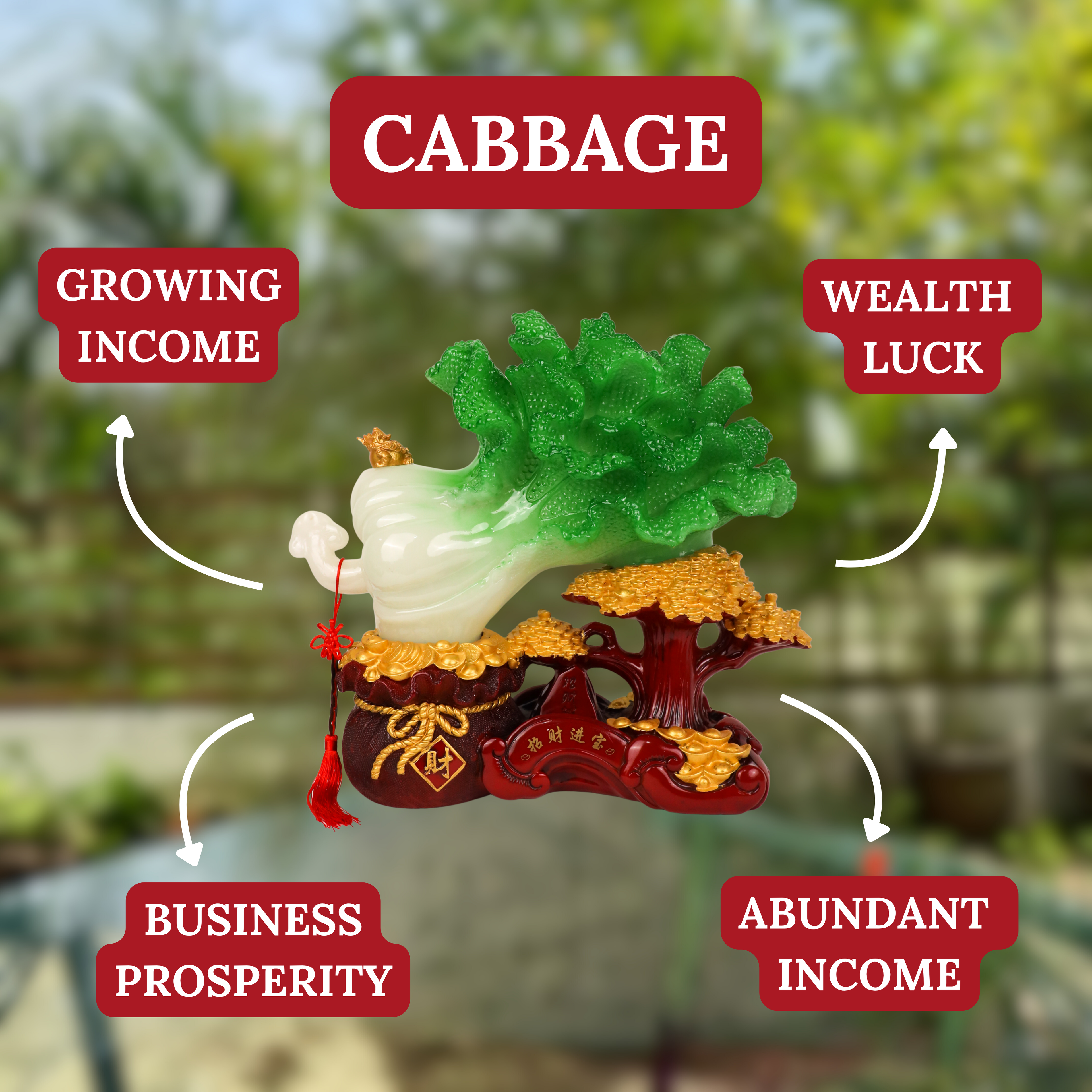 Mega Fortune Bai Cai Cabbage 46cm