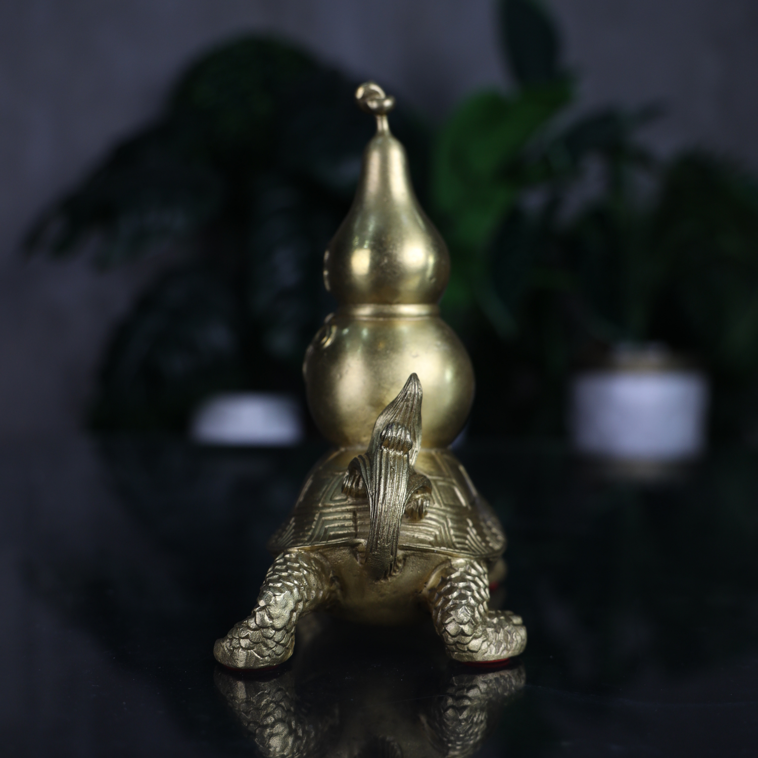 Auspicious Dragon Turtle of Wellness 18cm