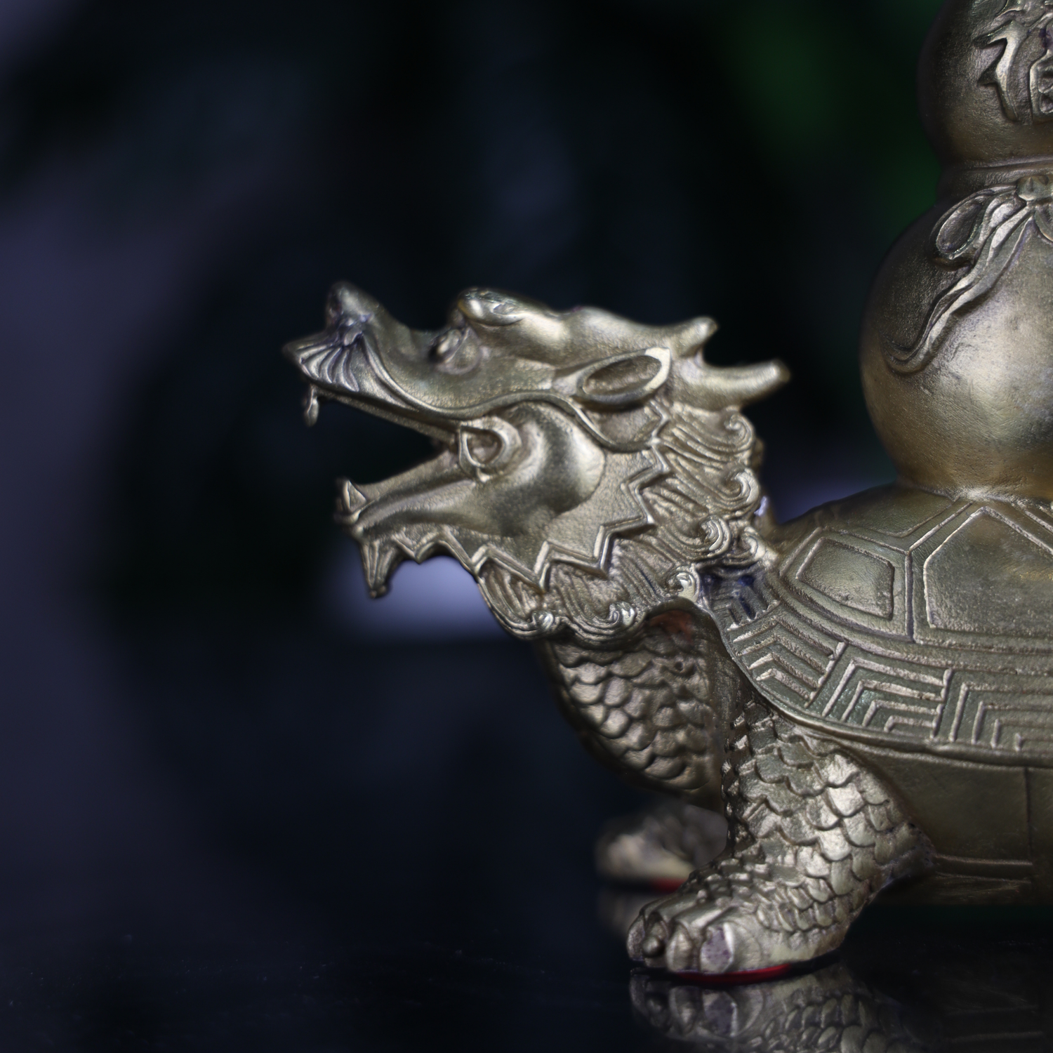 Auspicious Dragon Turtle of Wellness 18cm