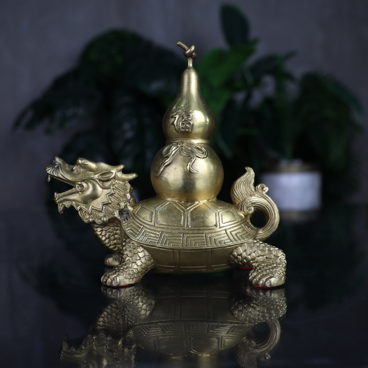 Auspicious Dragon Turtle of Wellness 18cm
