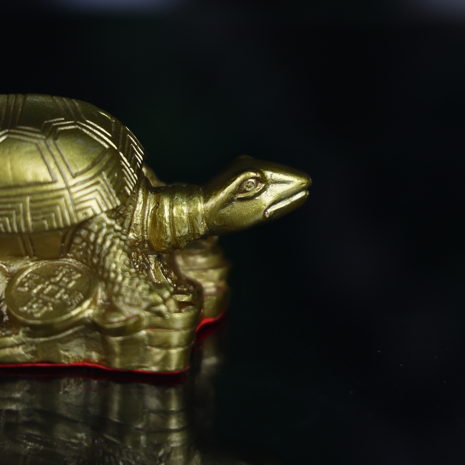 Shield of Fortune Brass Turtle 13cm