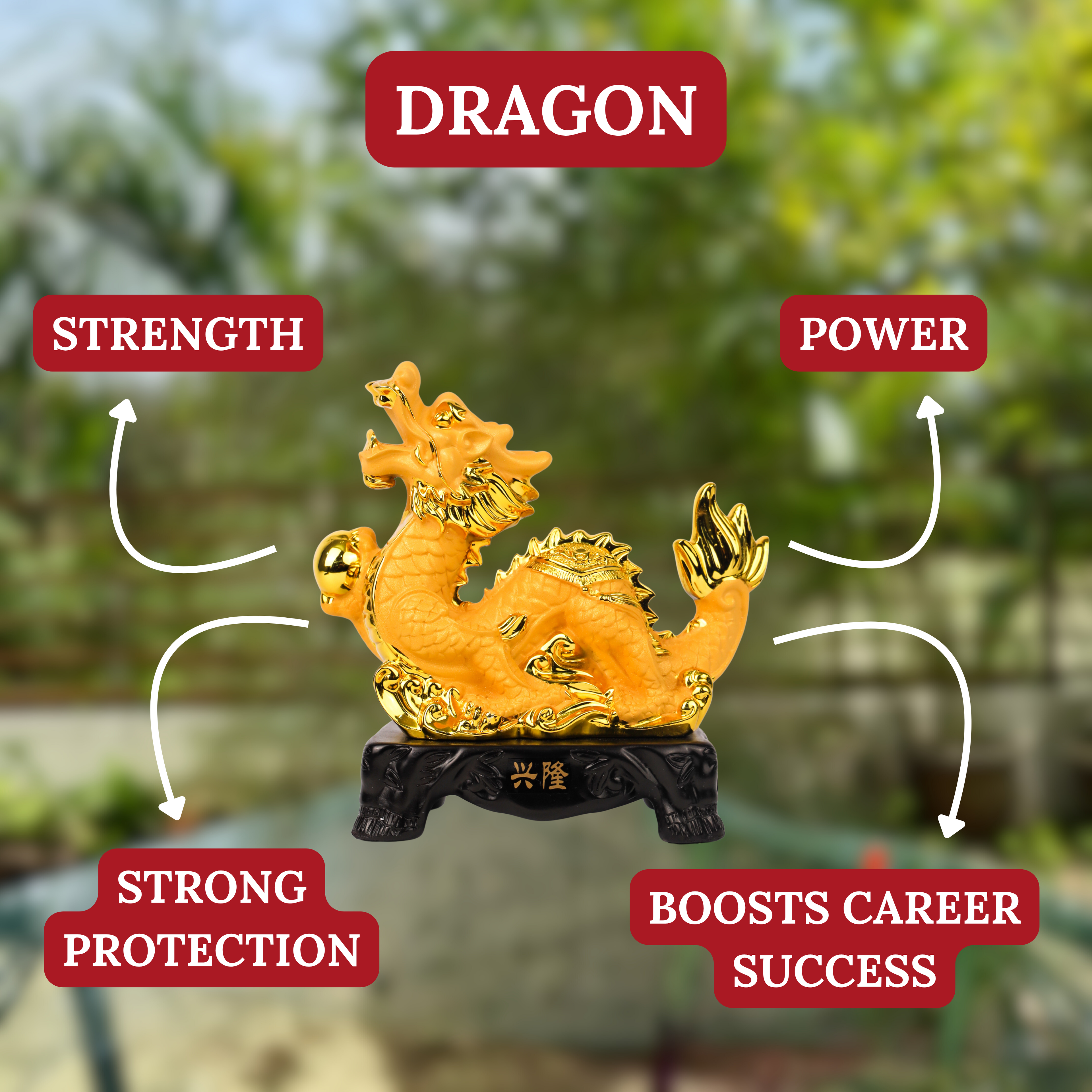 Golden Zodiac Dragon of Leadership & Victory 18cm