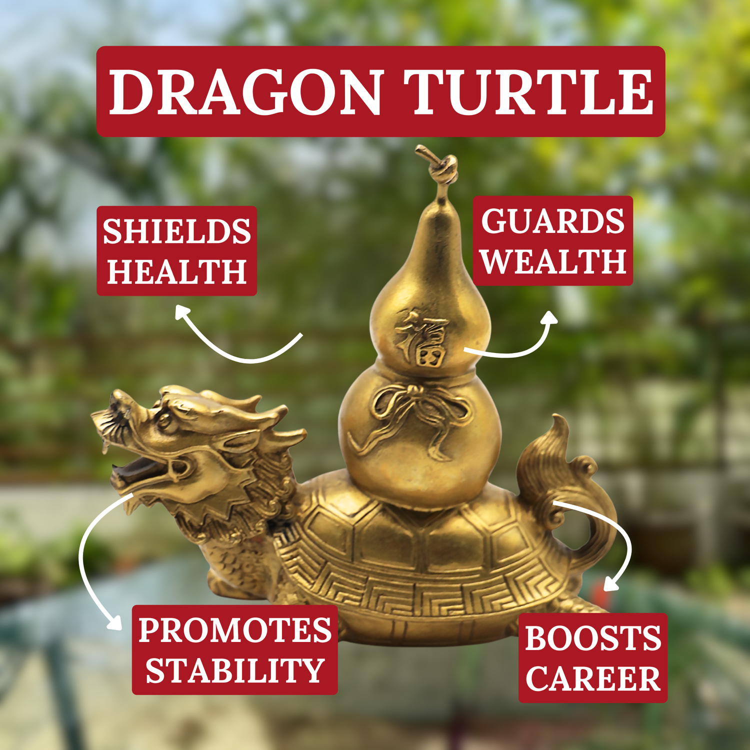 Auspicious Dragon Turtle of Wellness 18cm