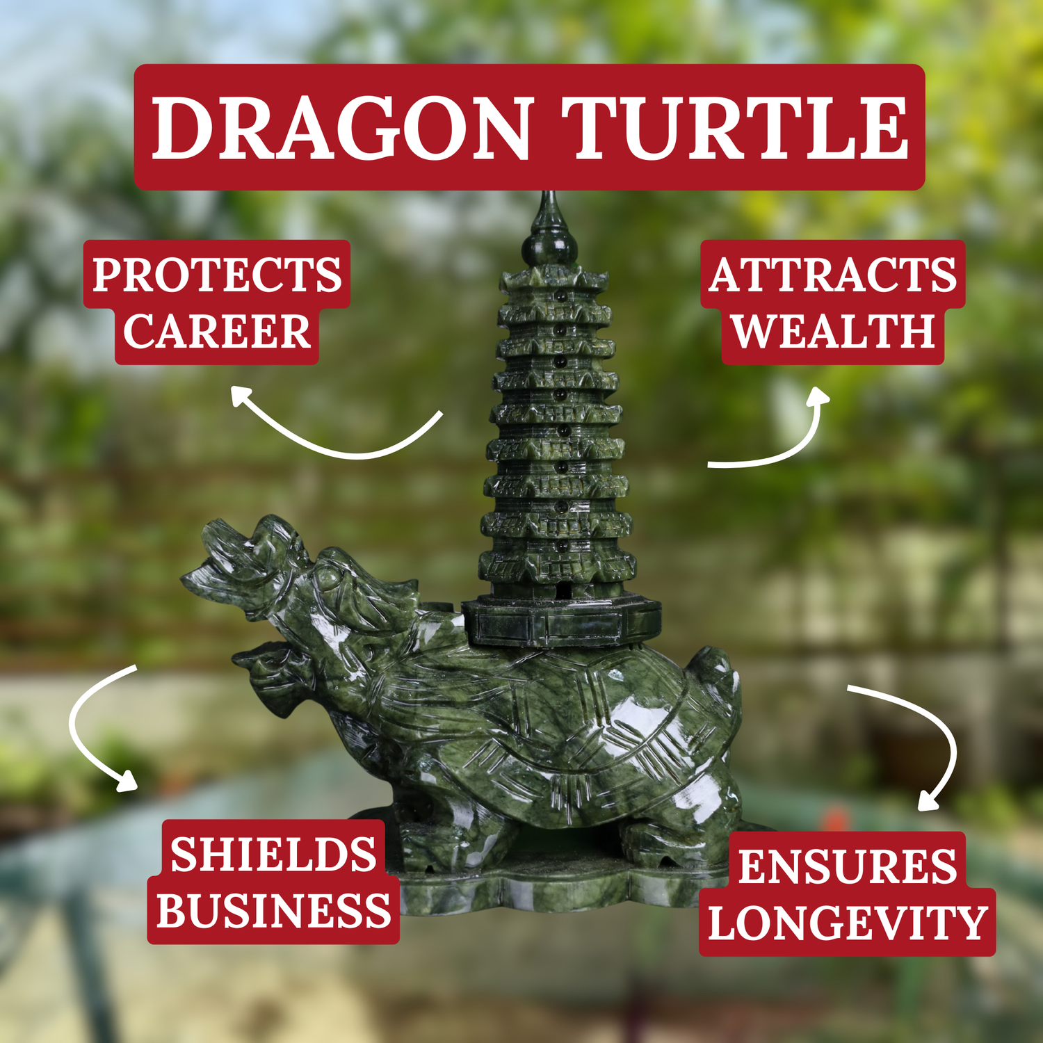Wise Guardian of Success Dragon Turtle 23cm