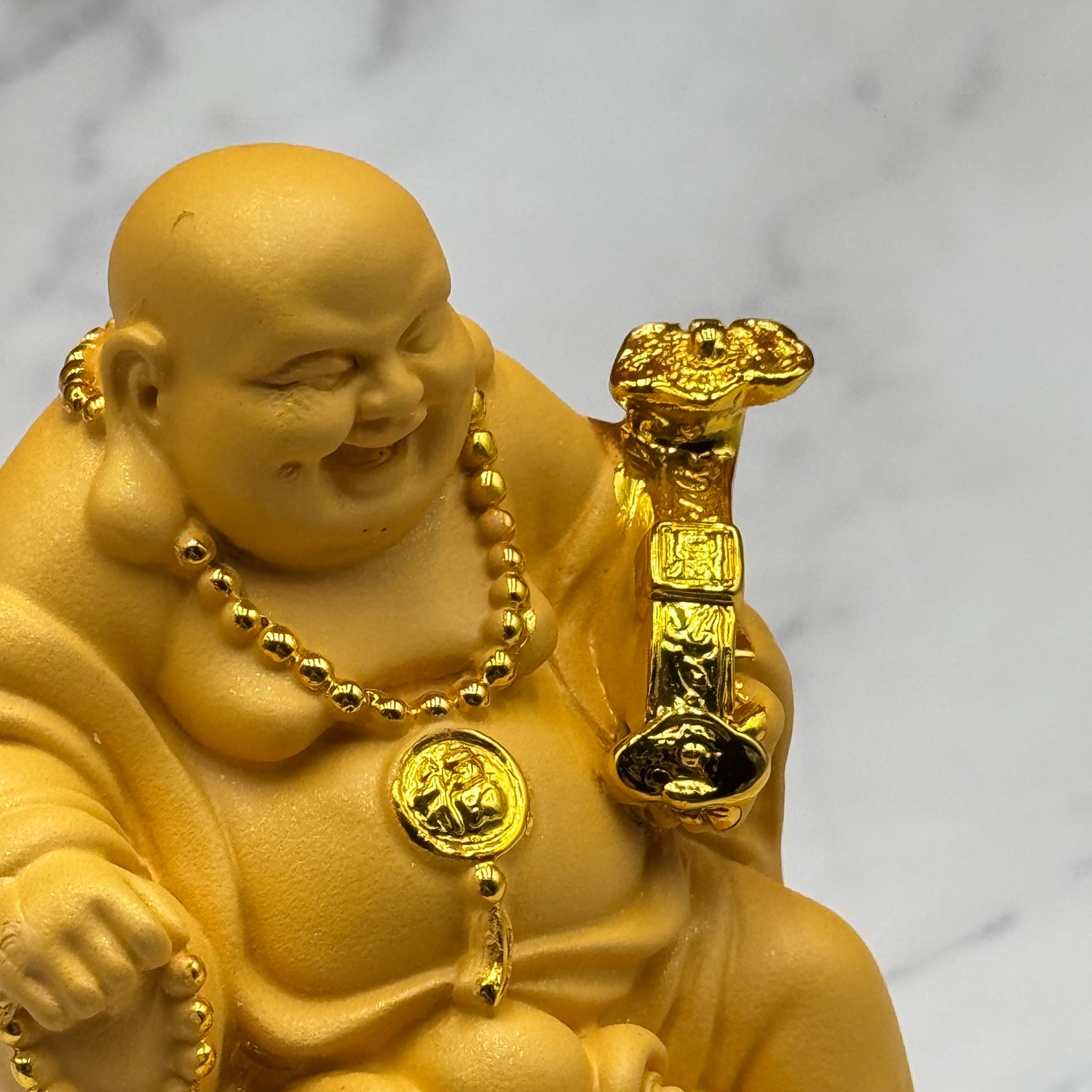 Ride to Riches Buddha on Money Frog 13cm Default Title - Feng Shui Charms - Royal Dragon Decor Philippines