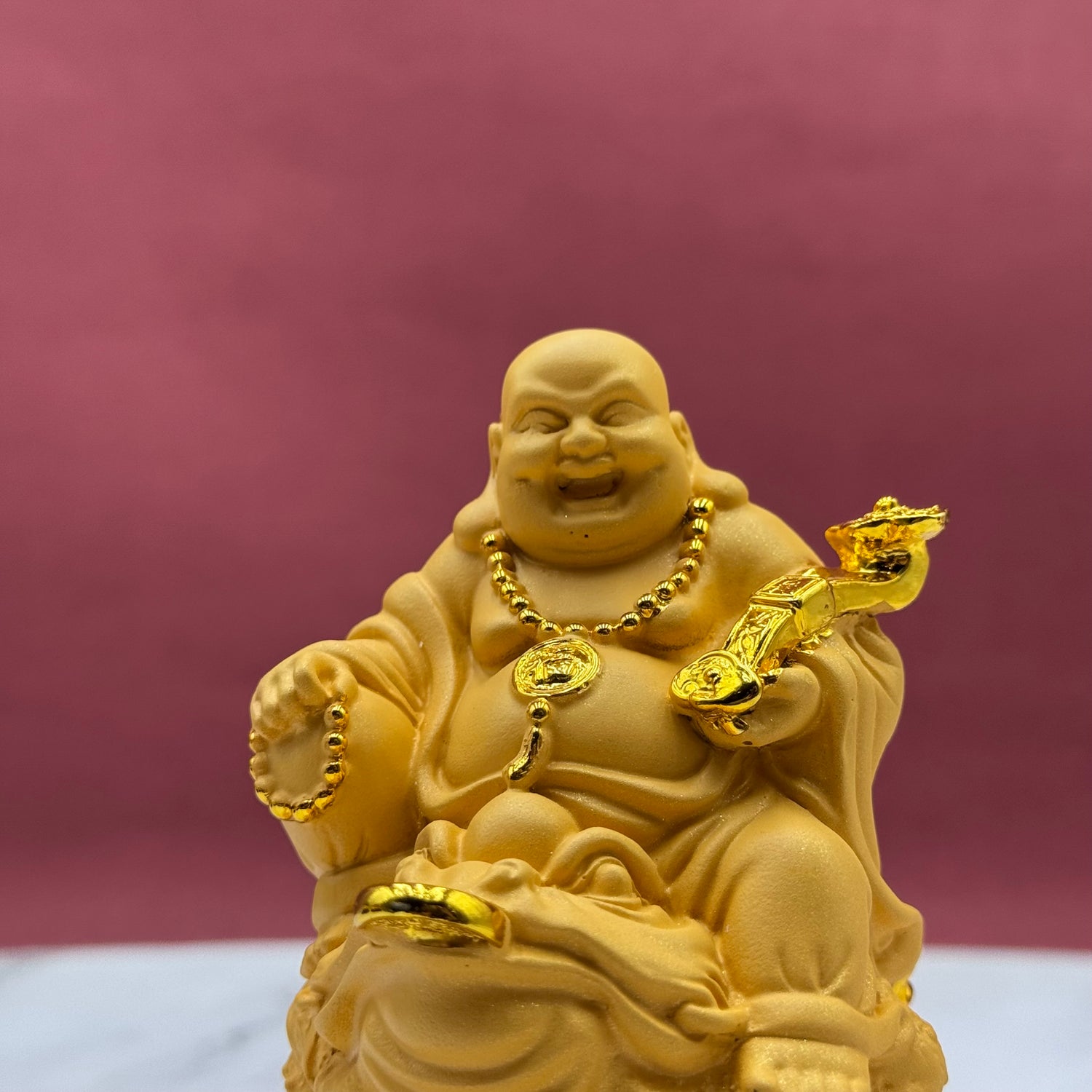 Ride to Riches Buddha on Money Frog 13cm Default Title - Feng Shui Charms - Royal Dragon Decor Philippines