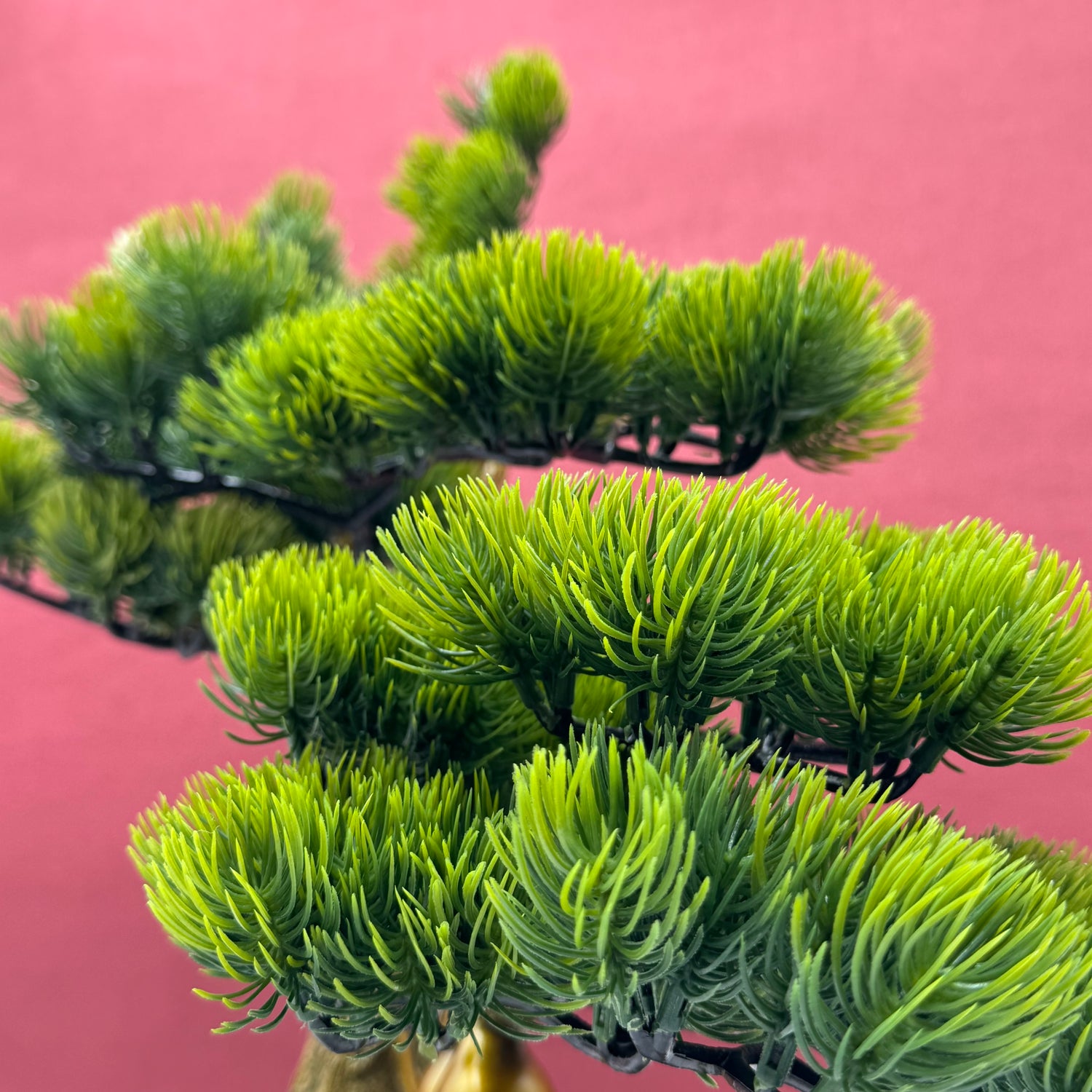 True Fortune Money Tree with Wu Lous 36cm Default Title - Feng Shui Charms - Royal Dragon Decor Philippines