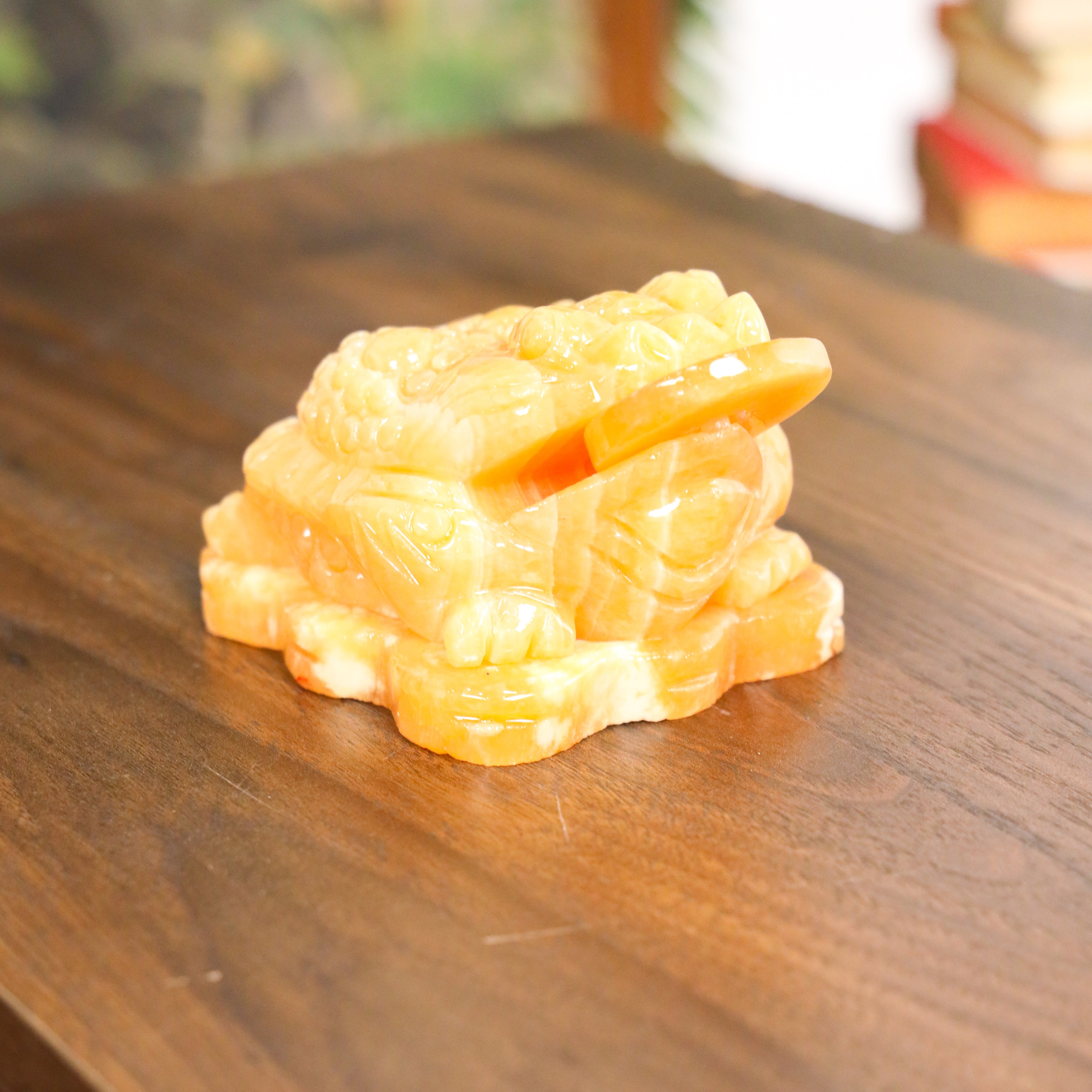 Topaz Money Frog for Growing Wealth 13cm