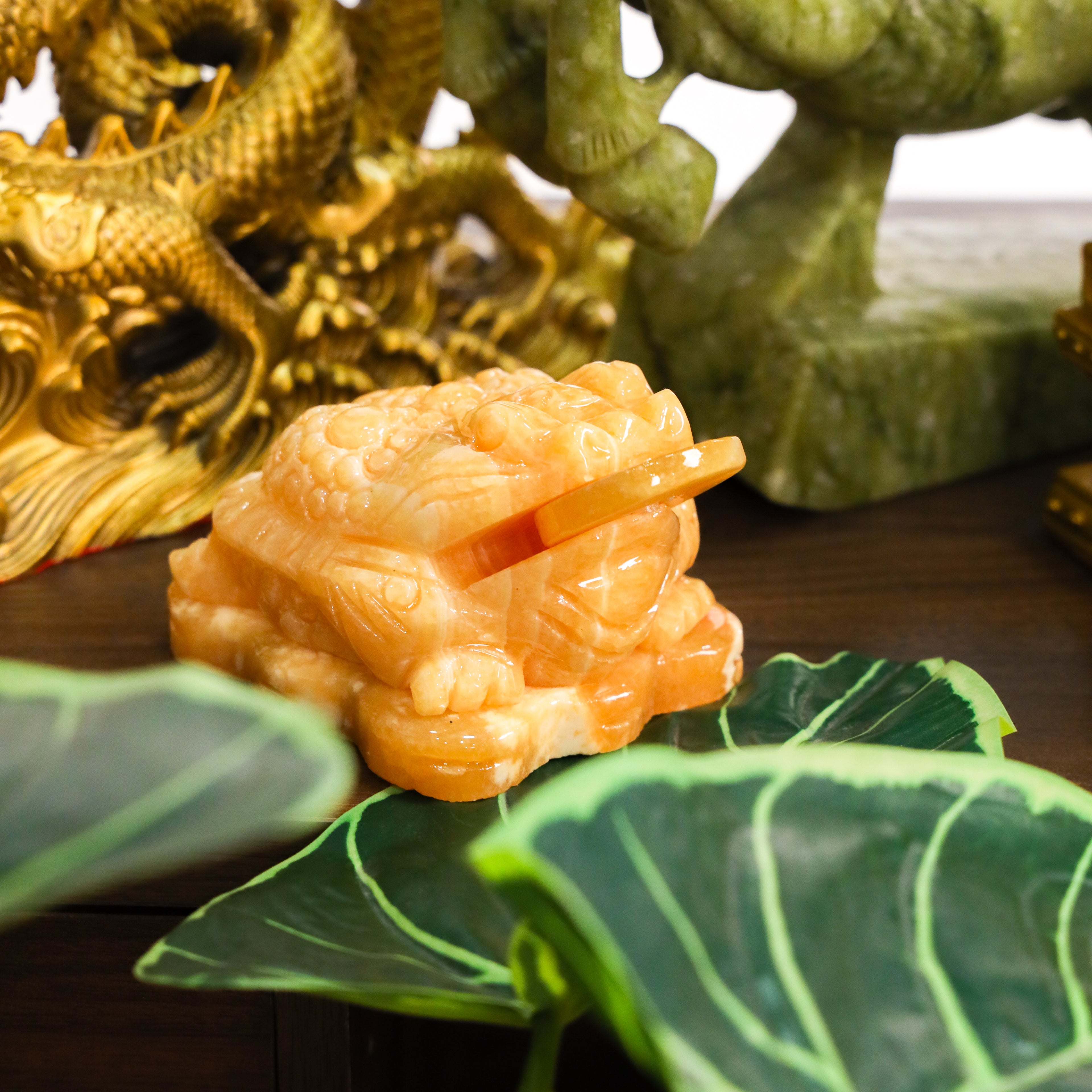 Topaz Money Frog for Growing Wealth 13cm