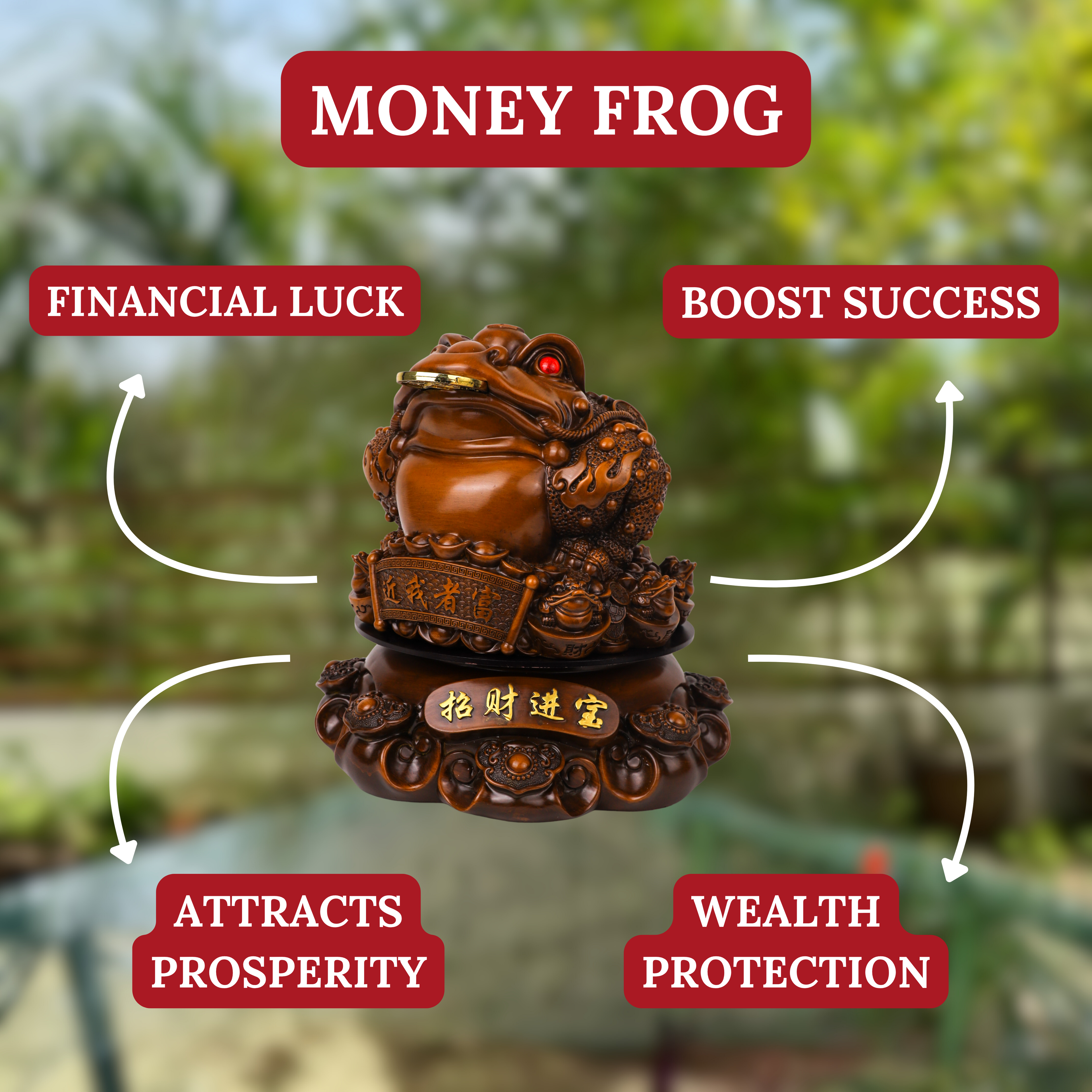 Wealth-Loaded Wood Money Frog 41cm