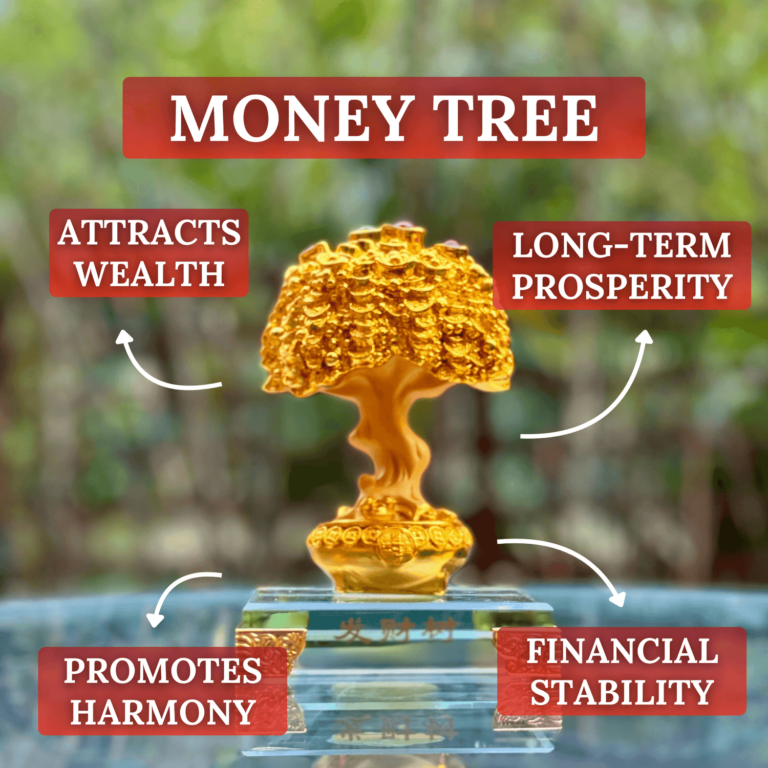 Mini Money Tree for Wealth Attraction 15cm Default Title - Feng Shui Charms - Royal Dragon Decor Philippines