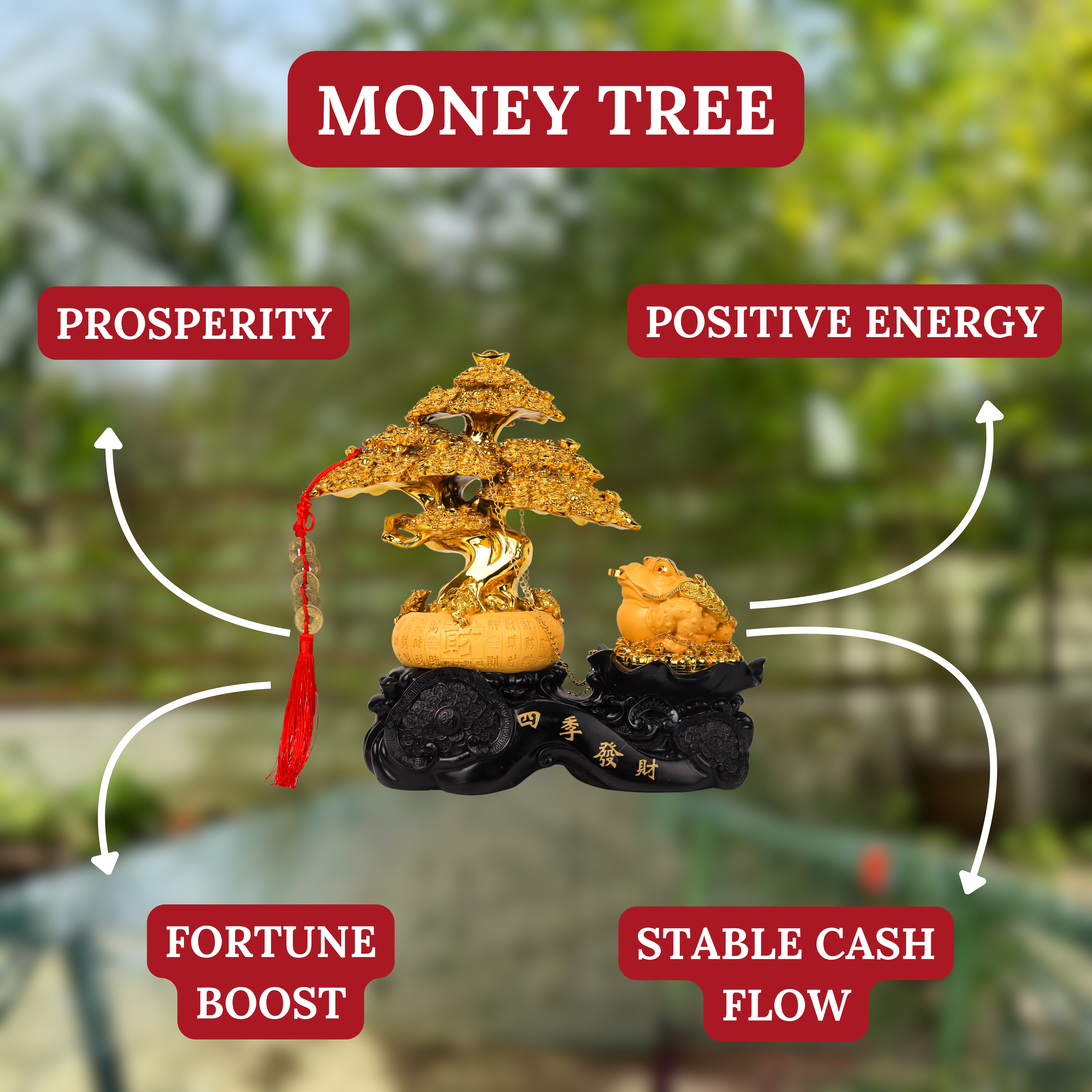 Money Tree and Frog of Expanding Wealth 33cm