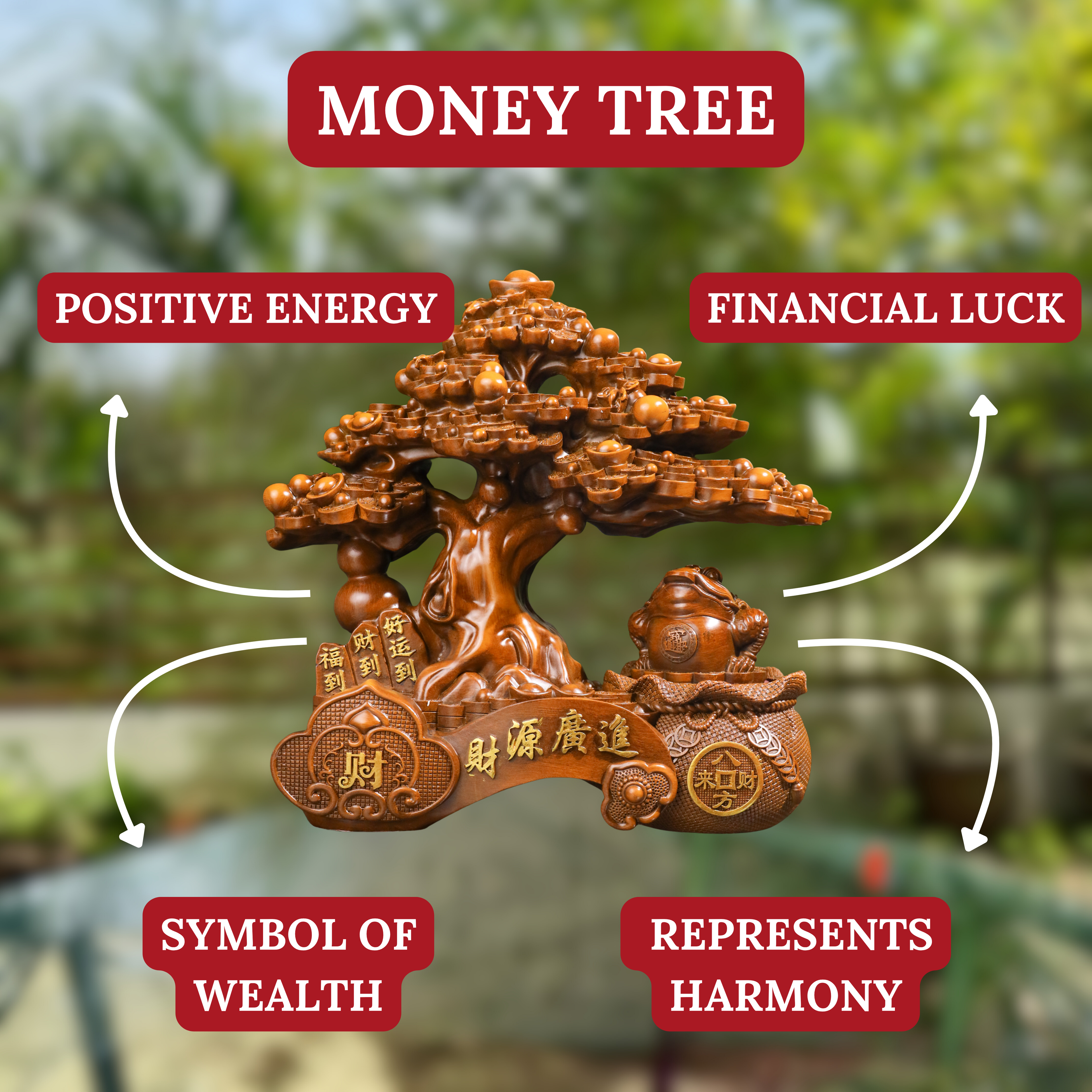 Double Fortune Wood Money Tree & Frog 37cm