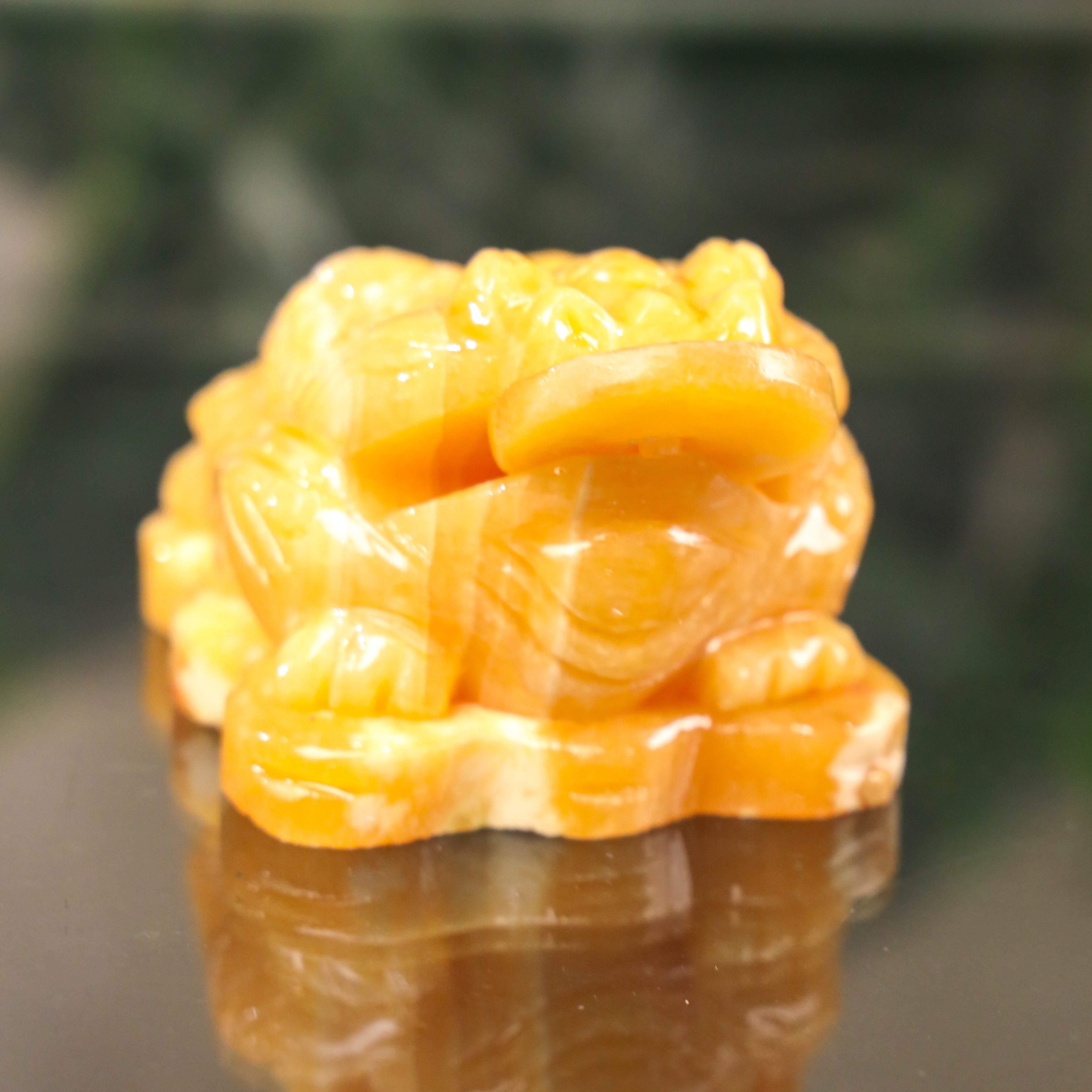 Topaz Money Frog for Growing Wealth 13cm