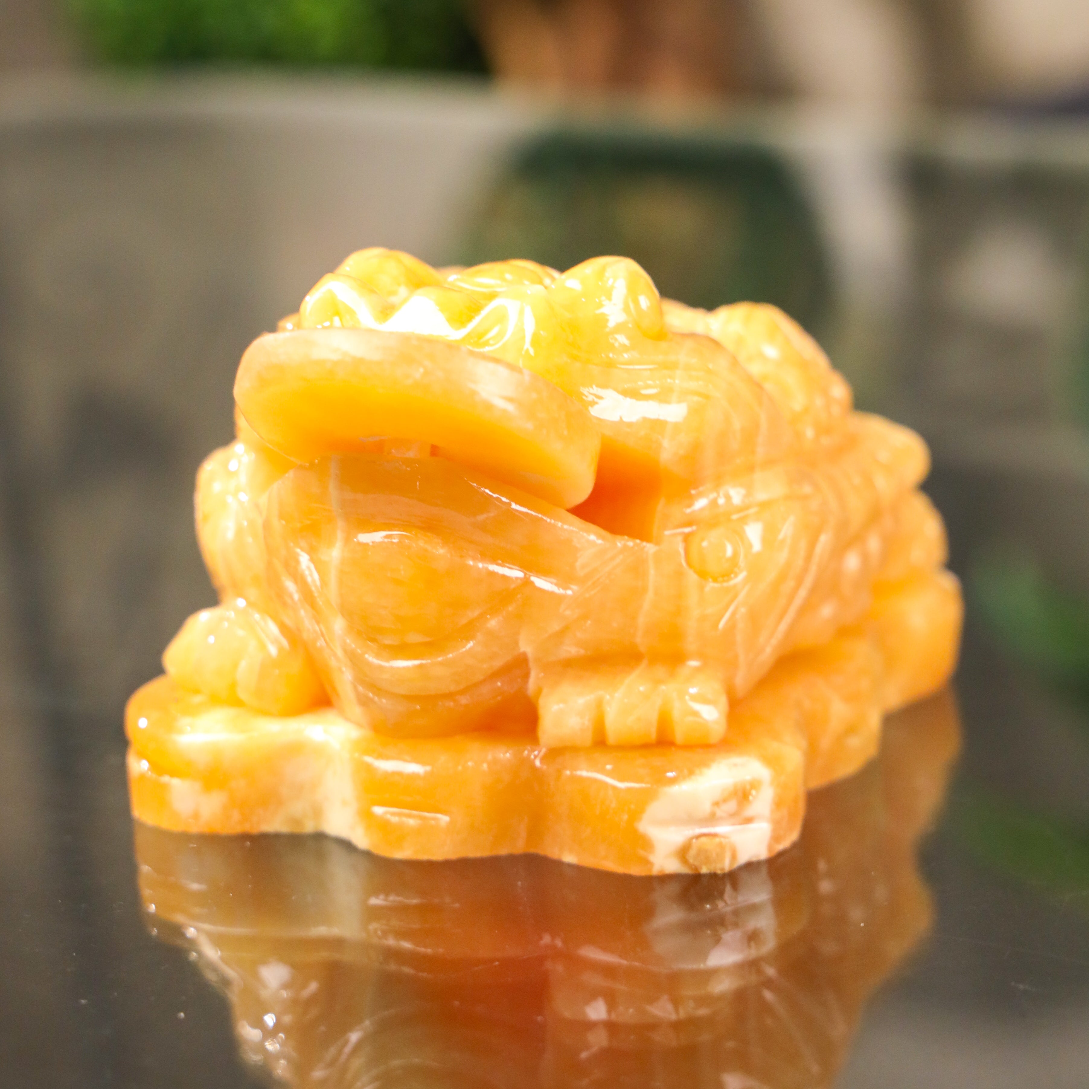 Topaz Money Frog for Growing Wealth 13cm