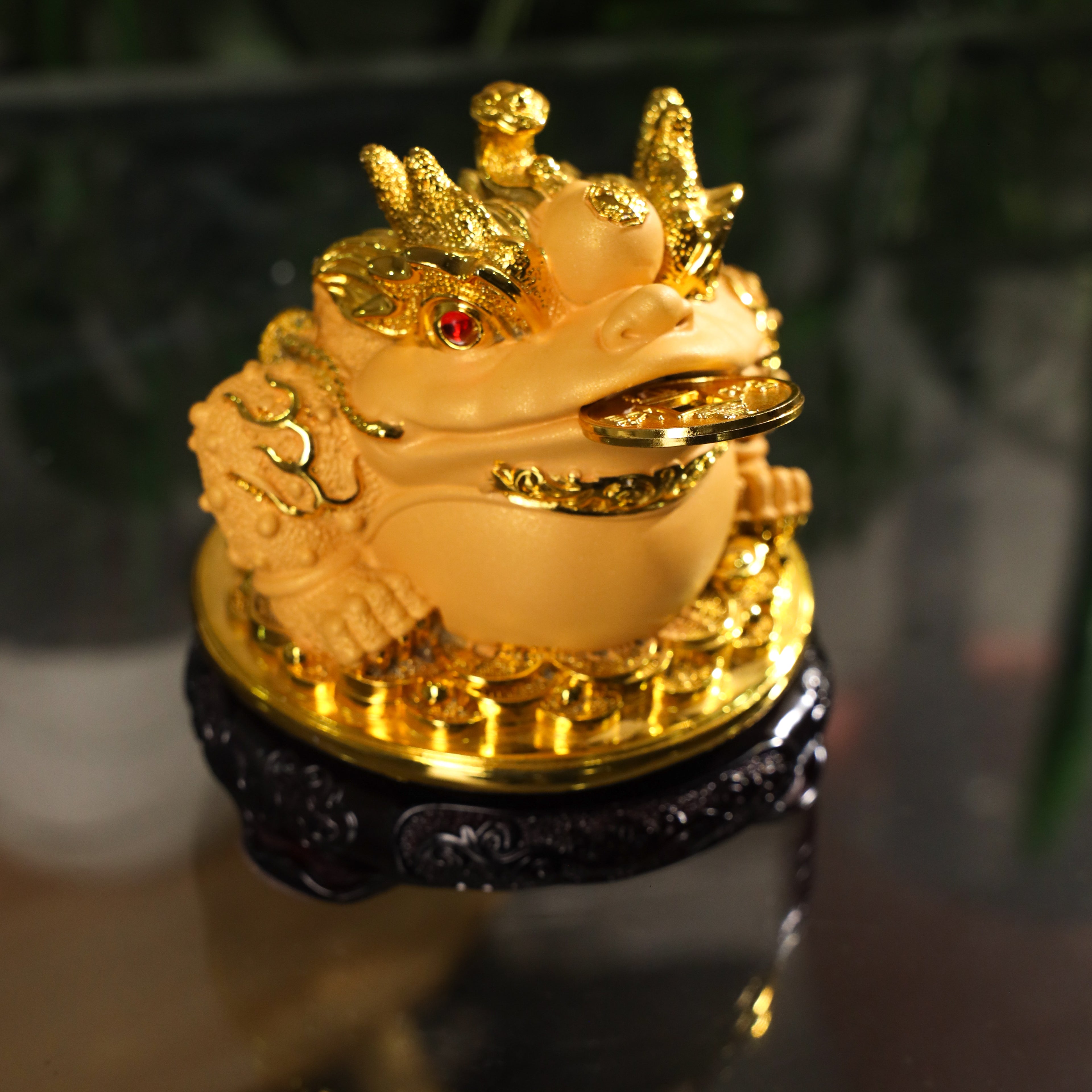 Golden Blessings Good Luck Money Frog 15cm