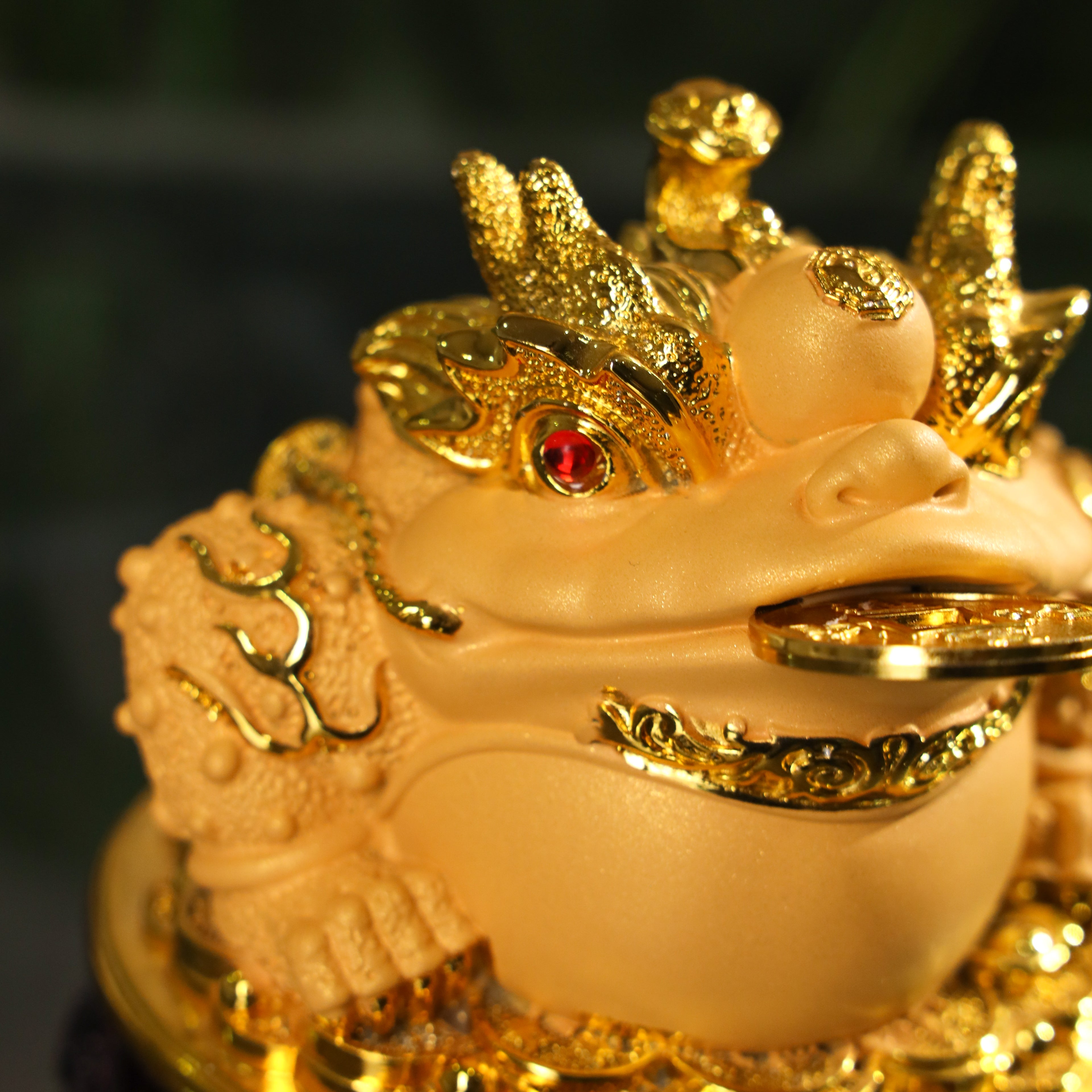 Golden Blessings Good Luck Money Frog 15cm