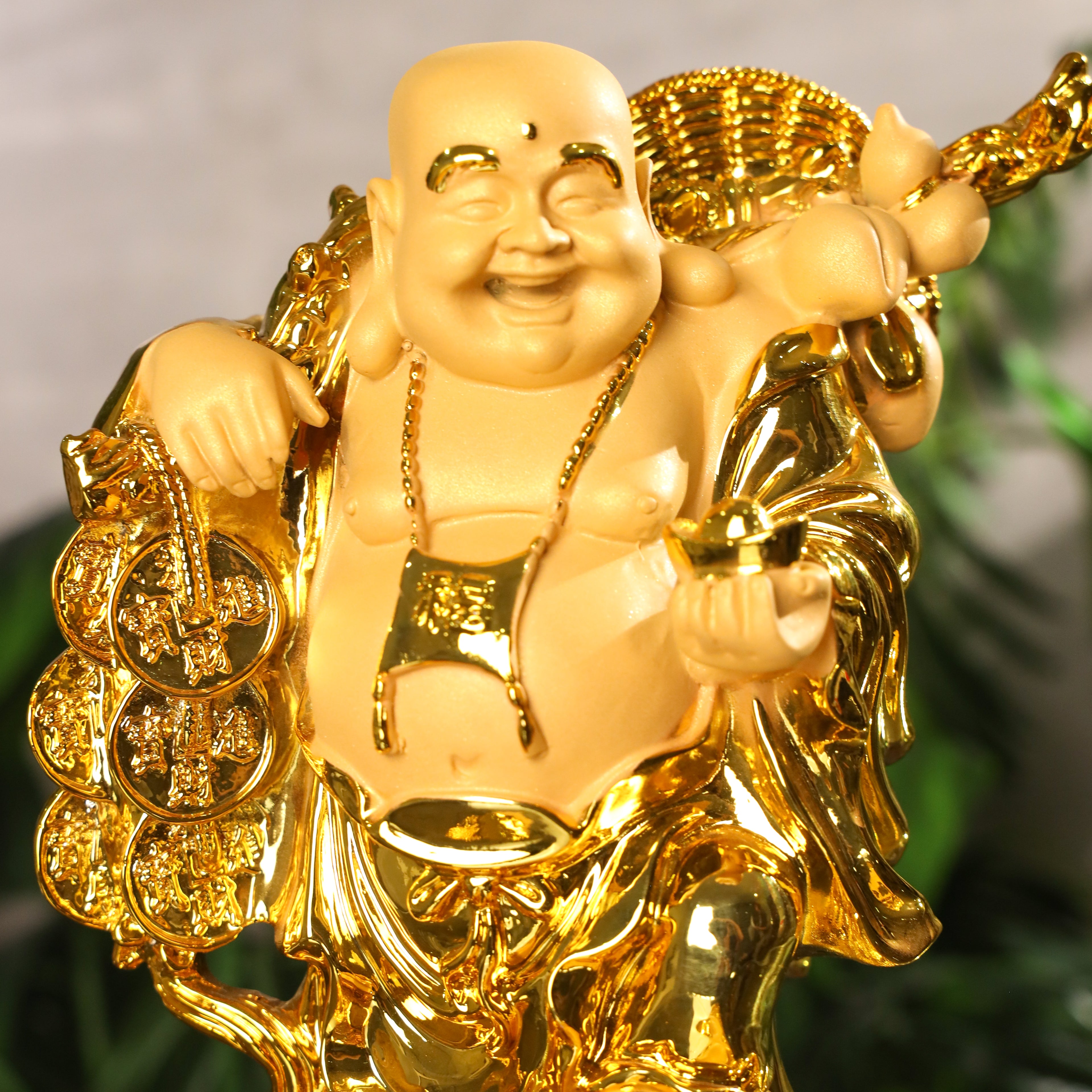 Double Wealth Luck Buddha on Money Frog 36cm
