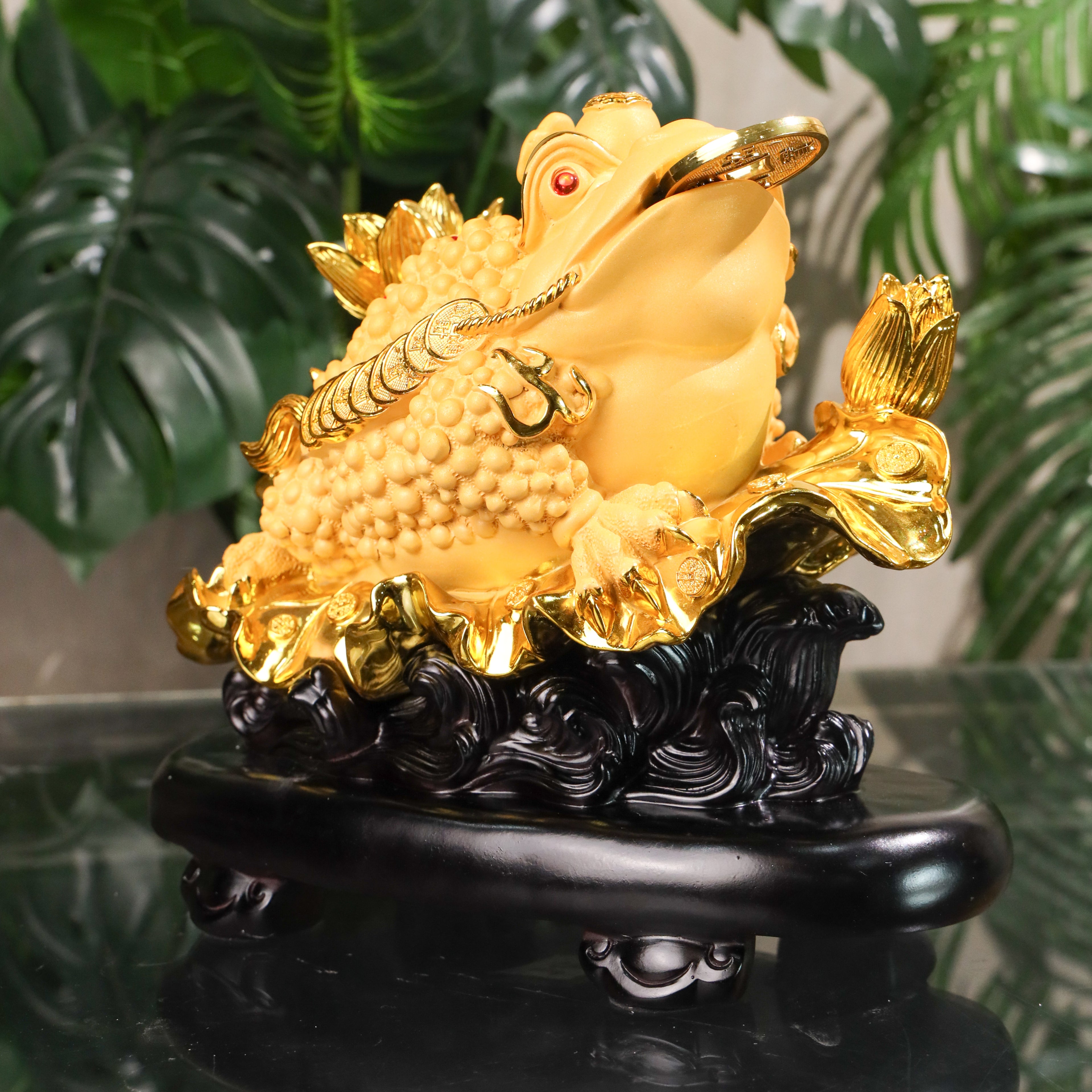 Display of Wealth Golden Money Frog 33cm