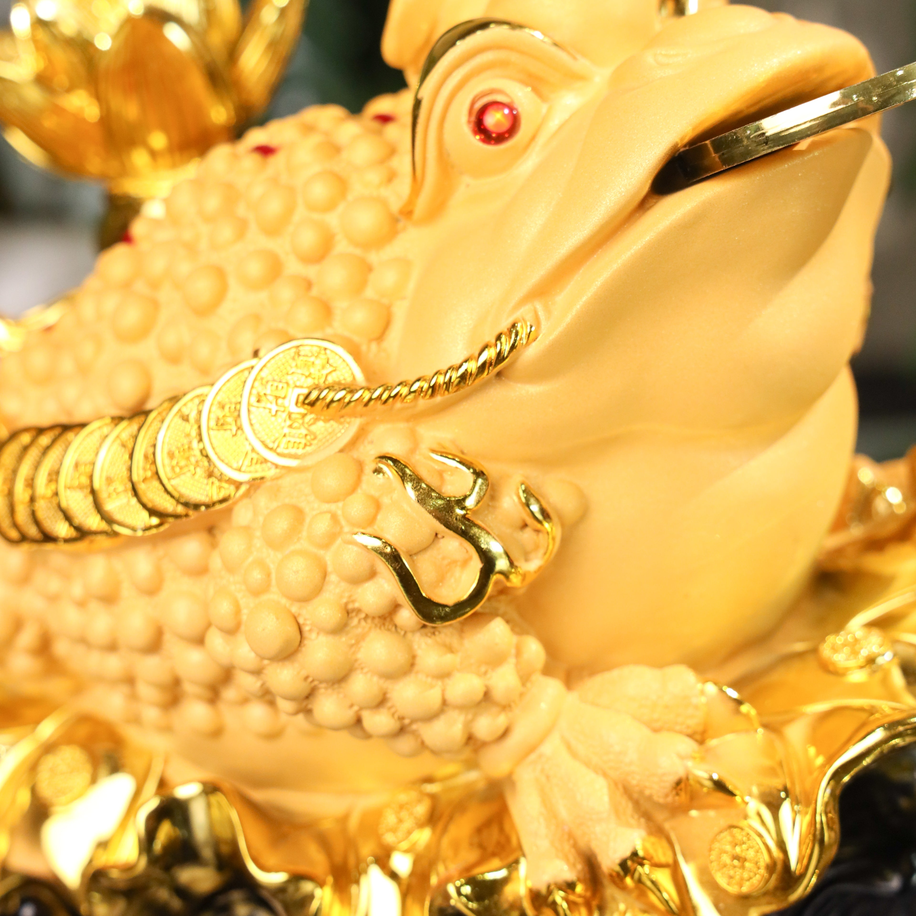 Display of Wealth Golden Money Frog 33cm