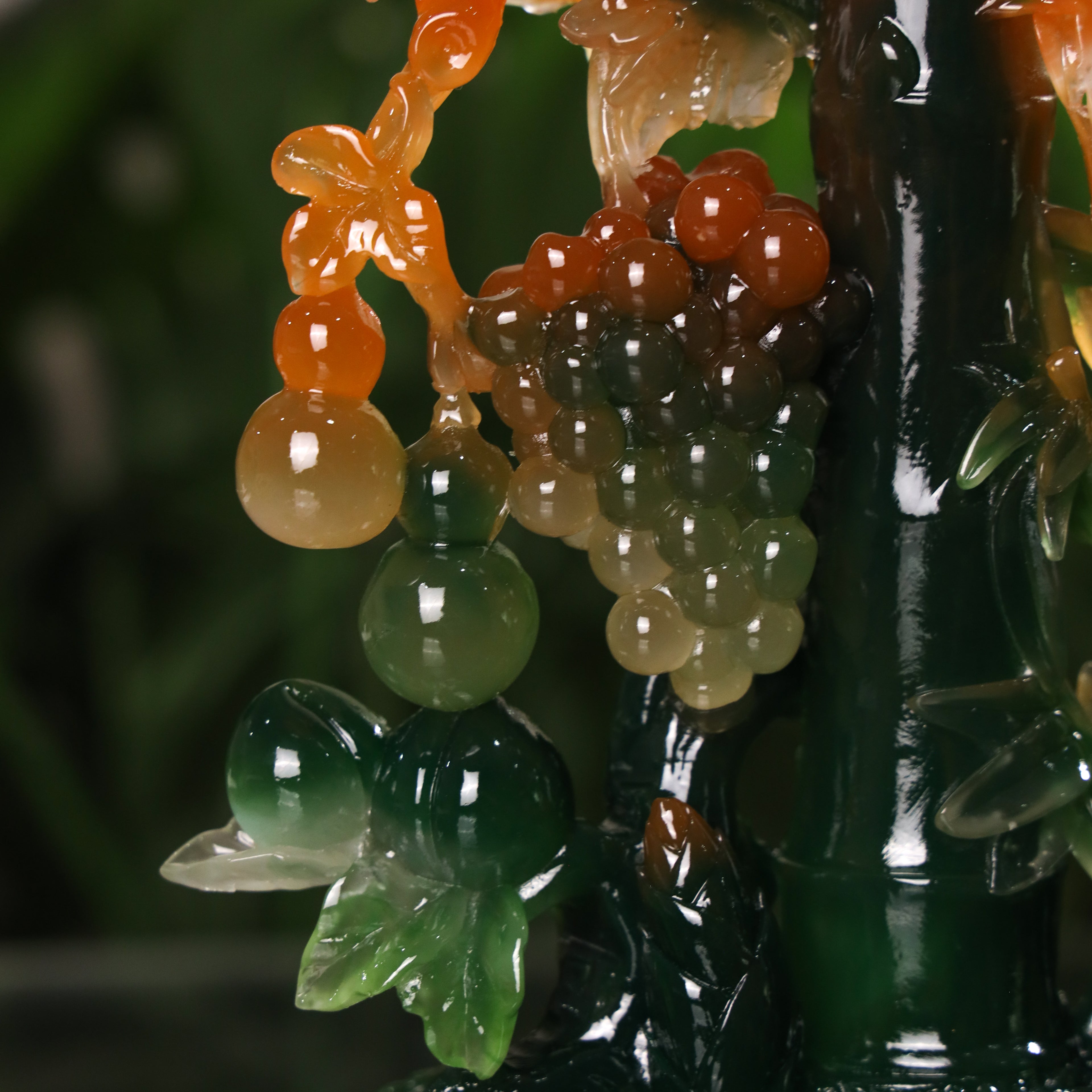 Growing Everyday Lucky Green Bamboo 25cm