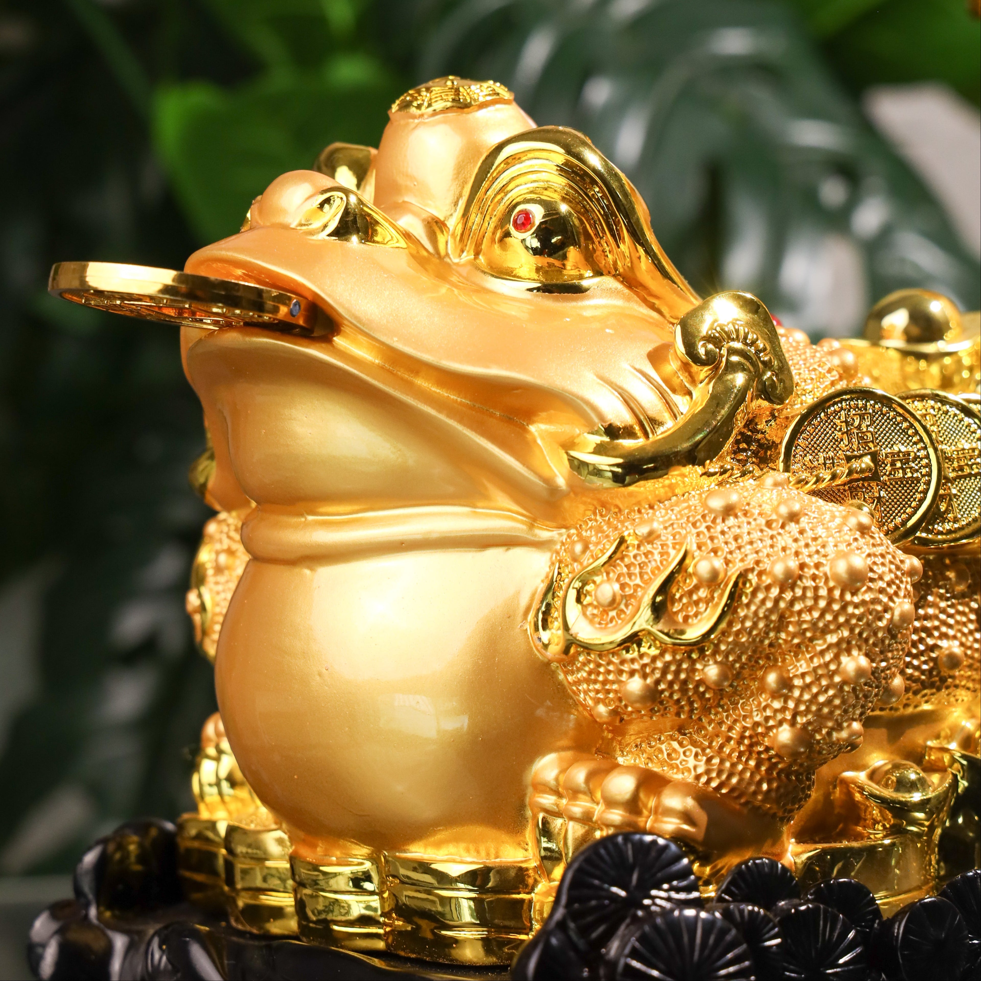 Bring Home The Harvest Money Frog 41cm