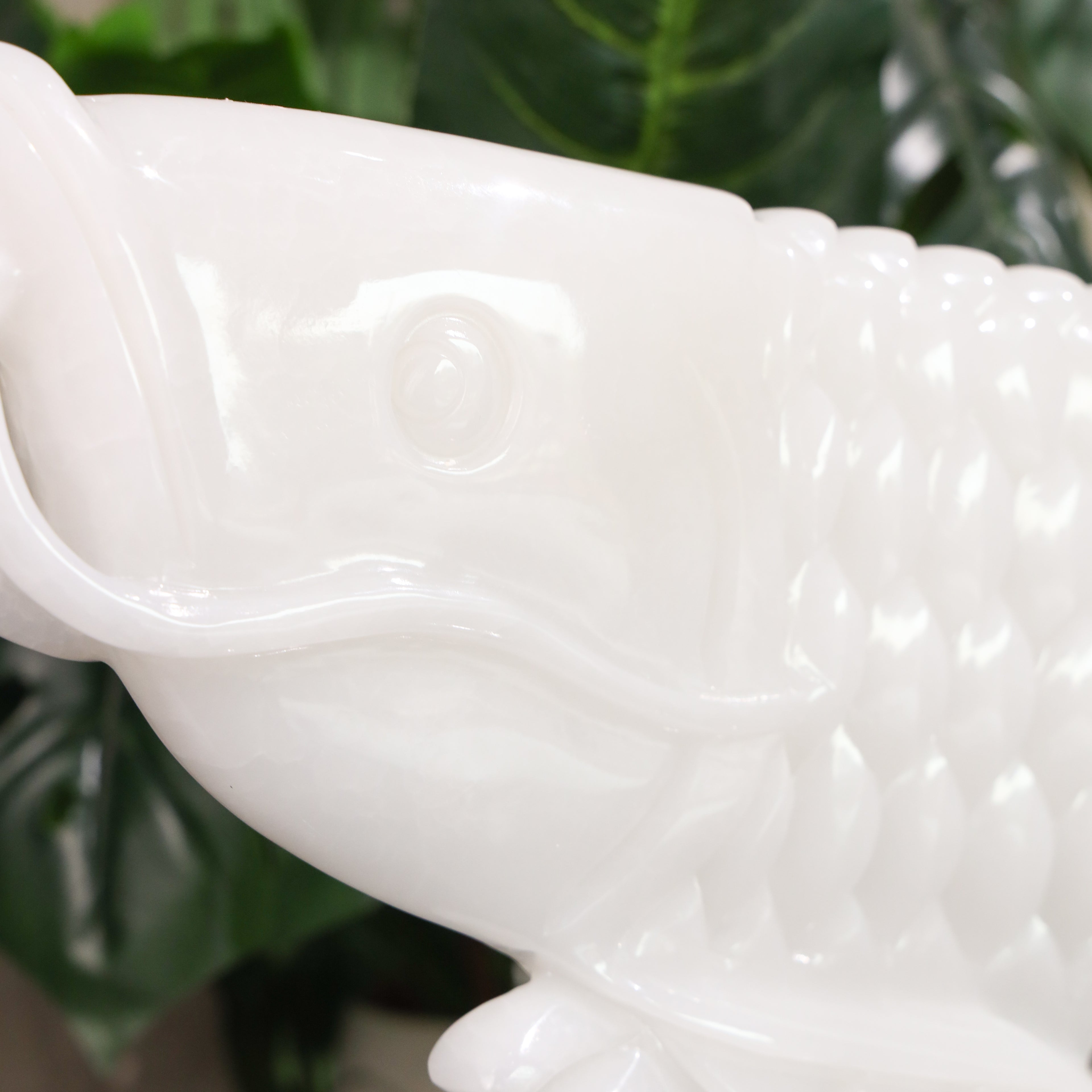 "Succeed In Business" - Jade Arowana 70cm