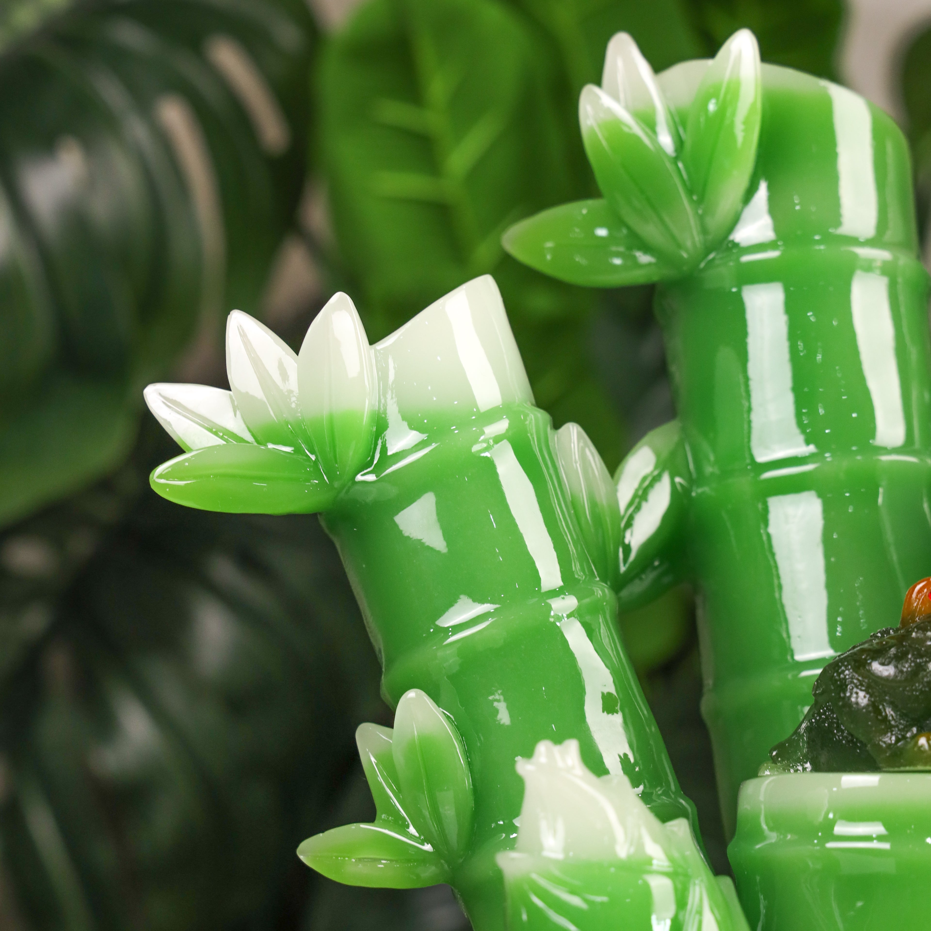 Lucky Green Bamboo of Stable Success 36cm