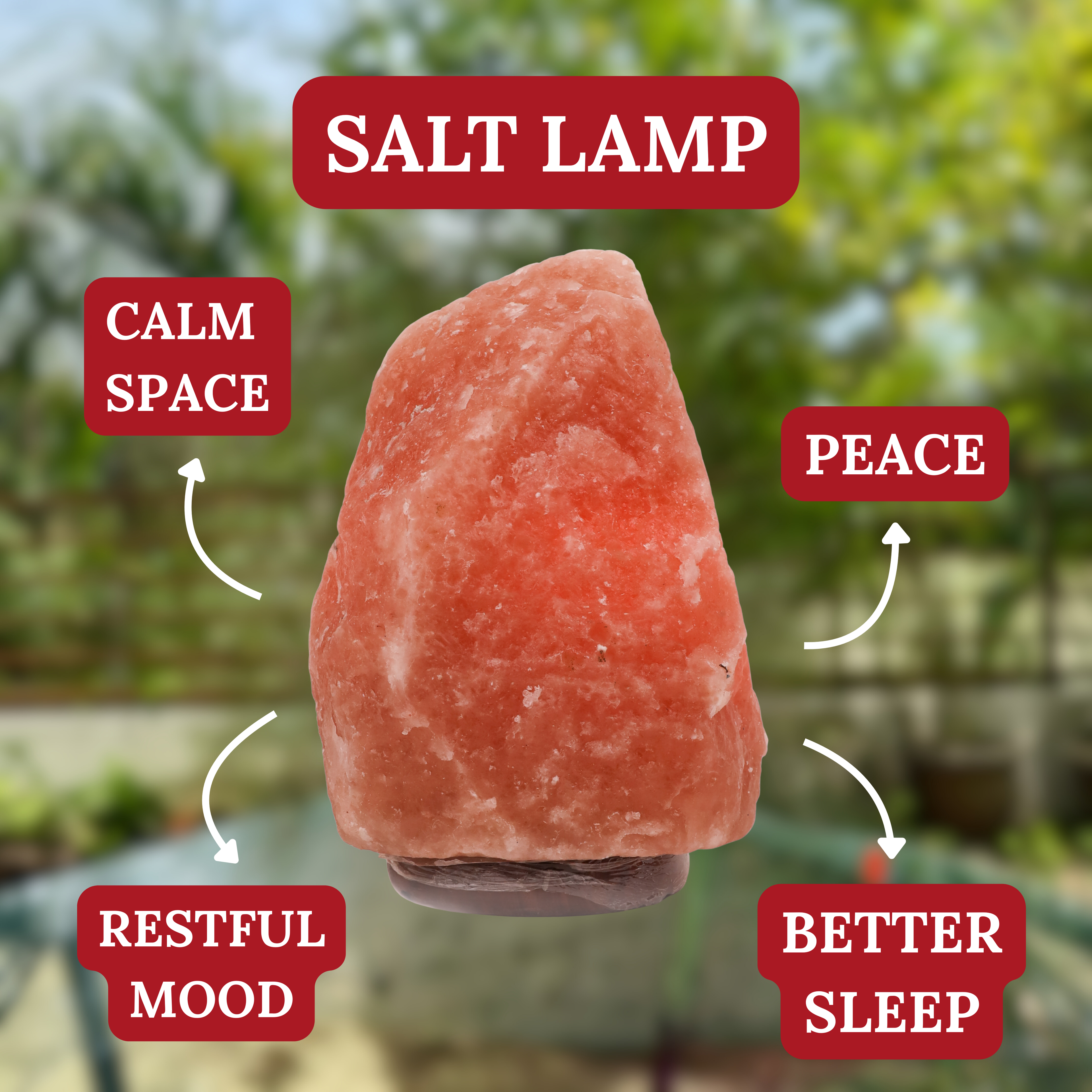 Source of Serenity Himalayan Salt Lamp 9-12kg