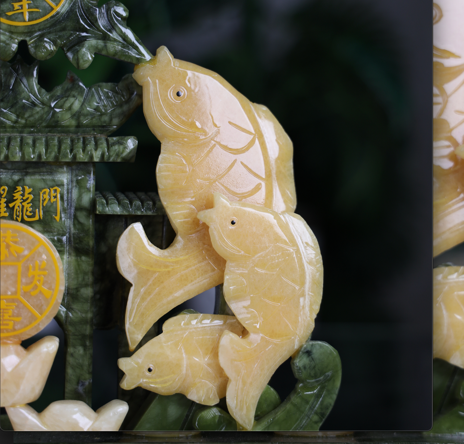 Home of Wealth-Building Arowanas 31cm