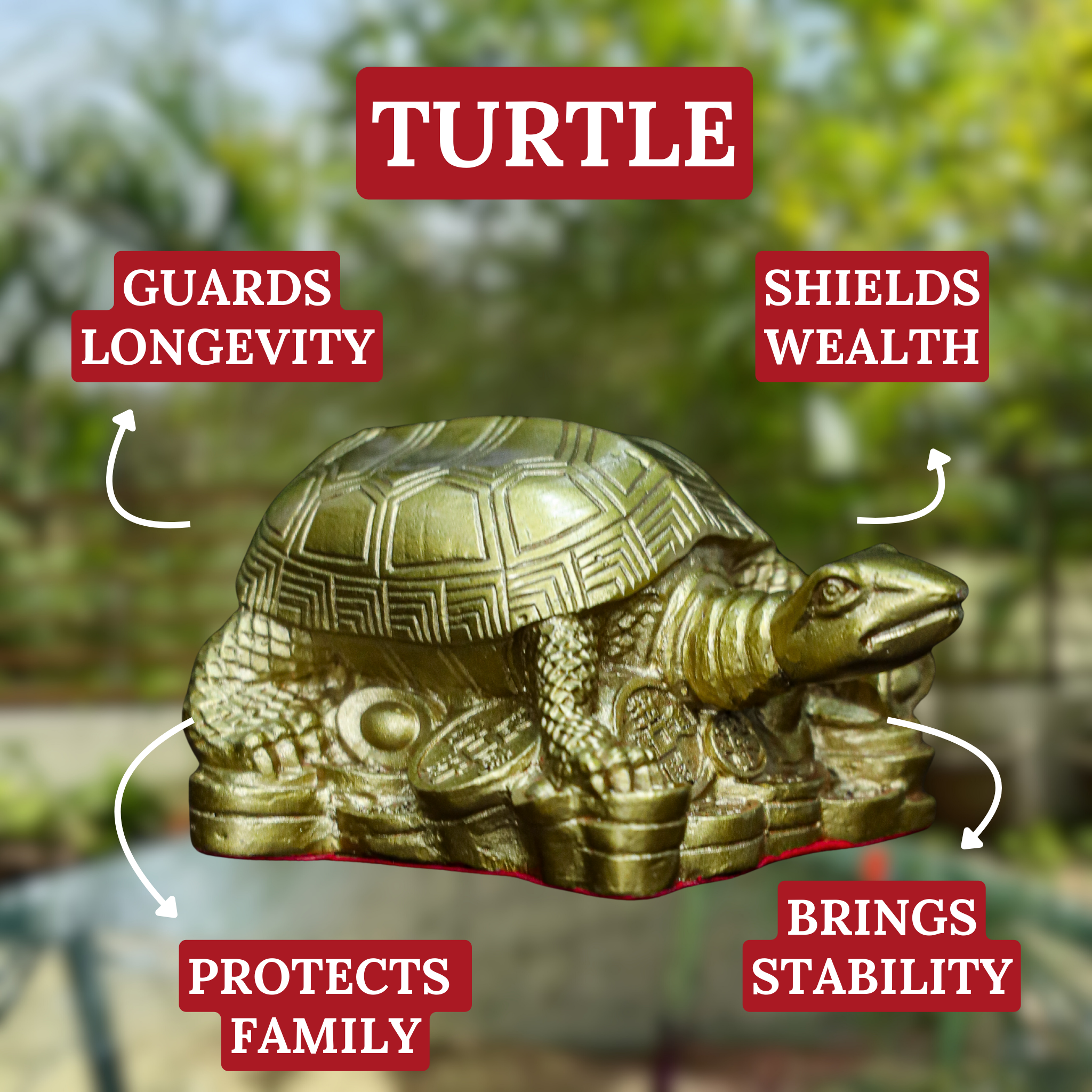 Shield of Fortune Brass Turtle 13cm