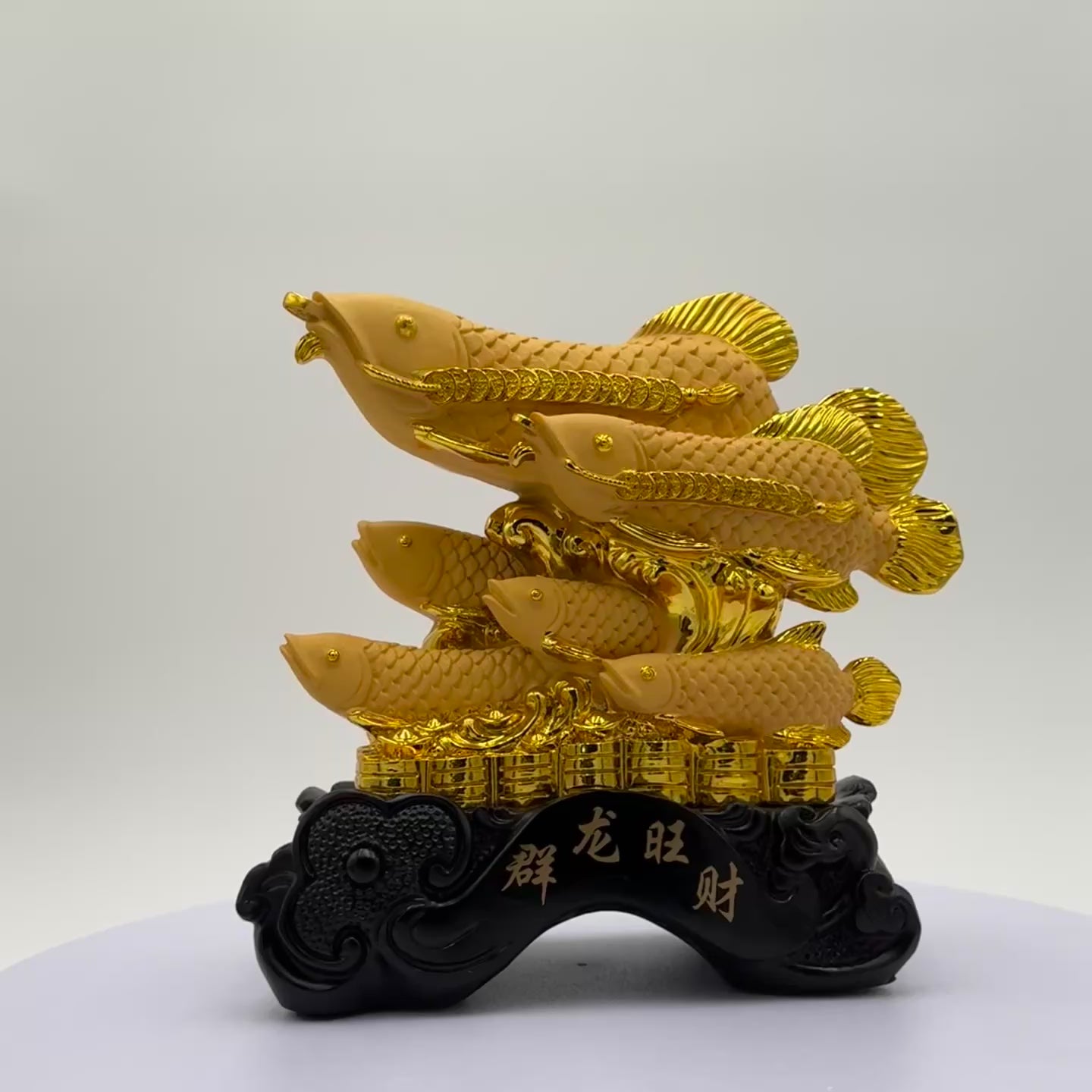 Family Teamwork to Abundance Arowanas 23cm